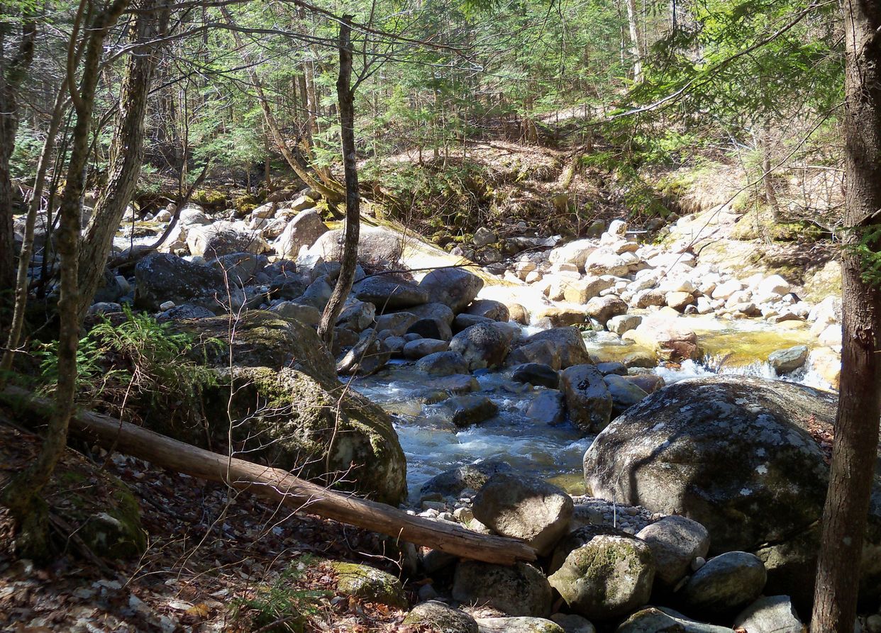 Rattle River 