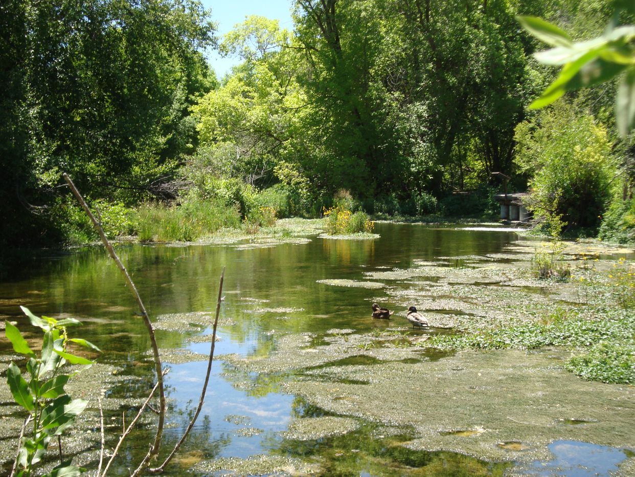  Cascade Springs