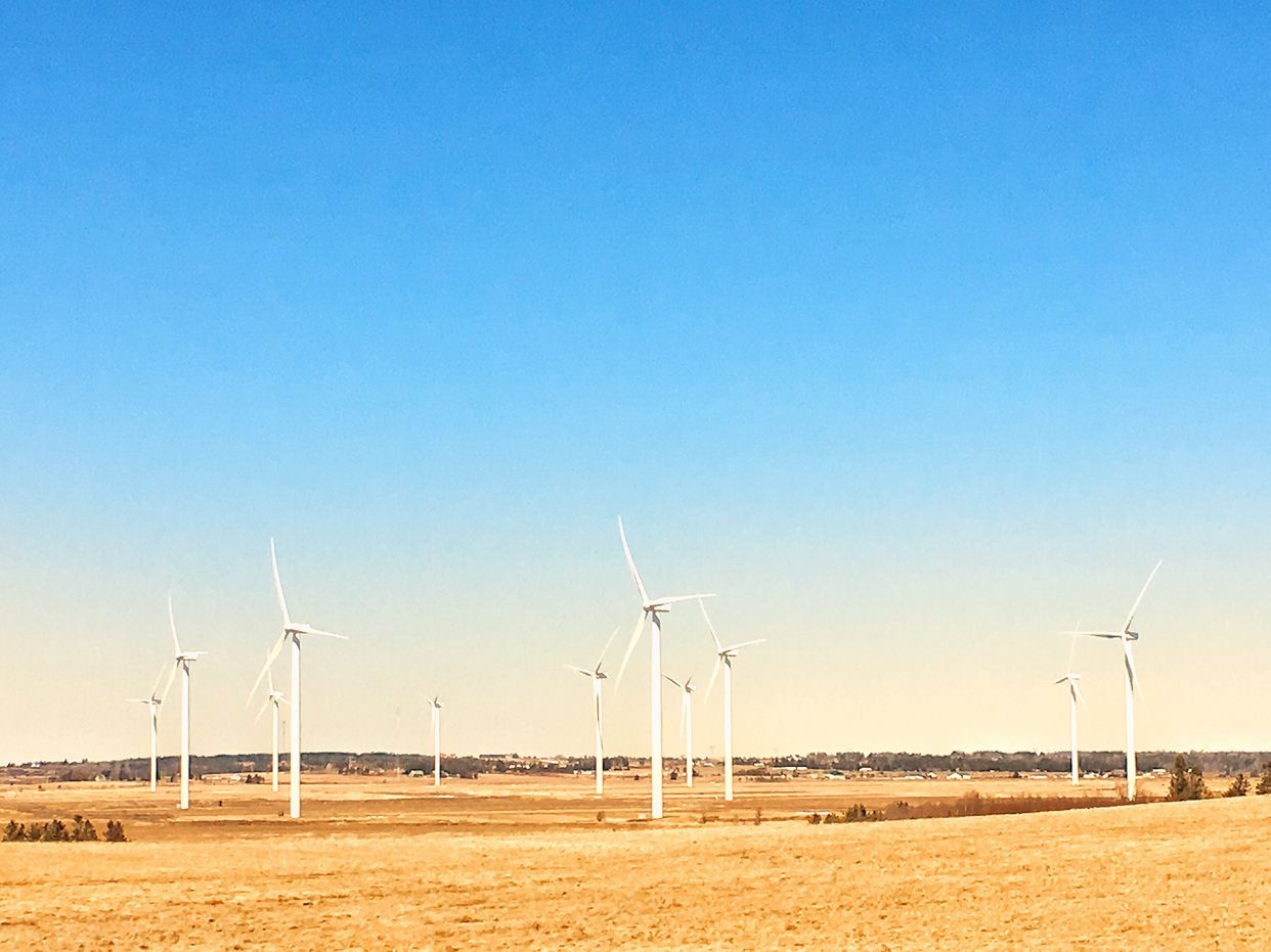 Wind Turbine Viewpoint