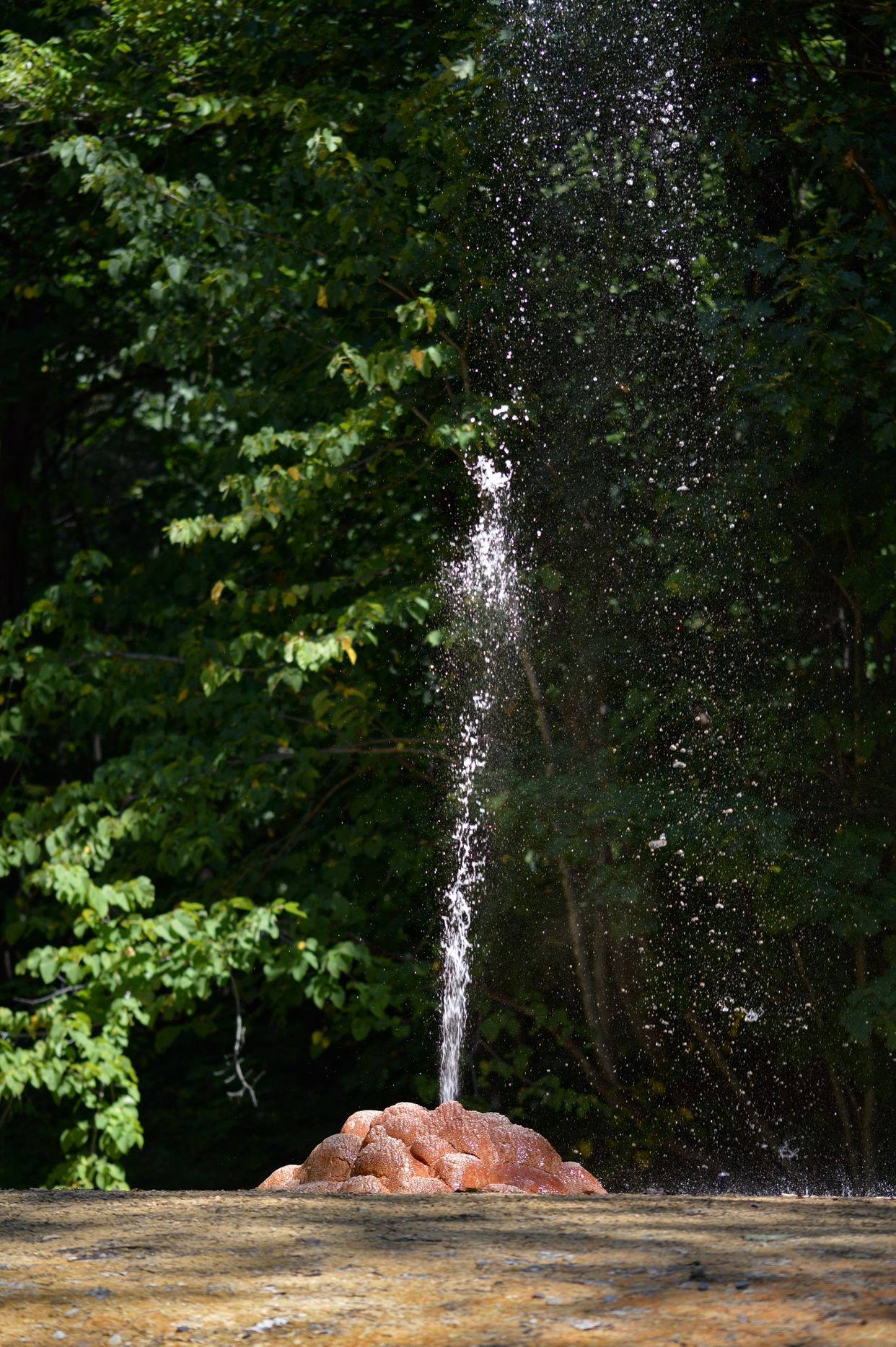 Geyser Island Spouter