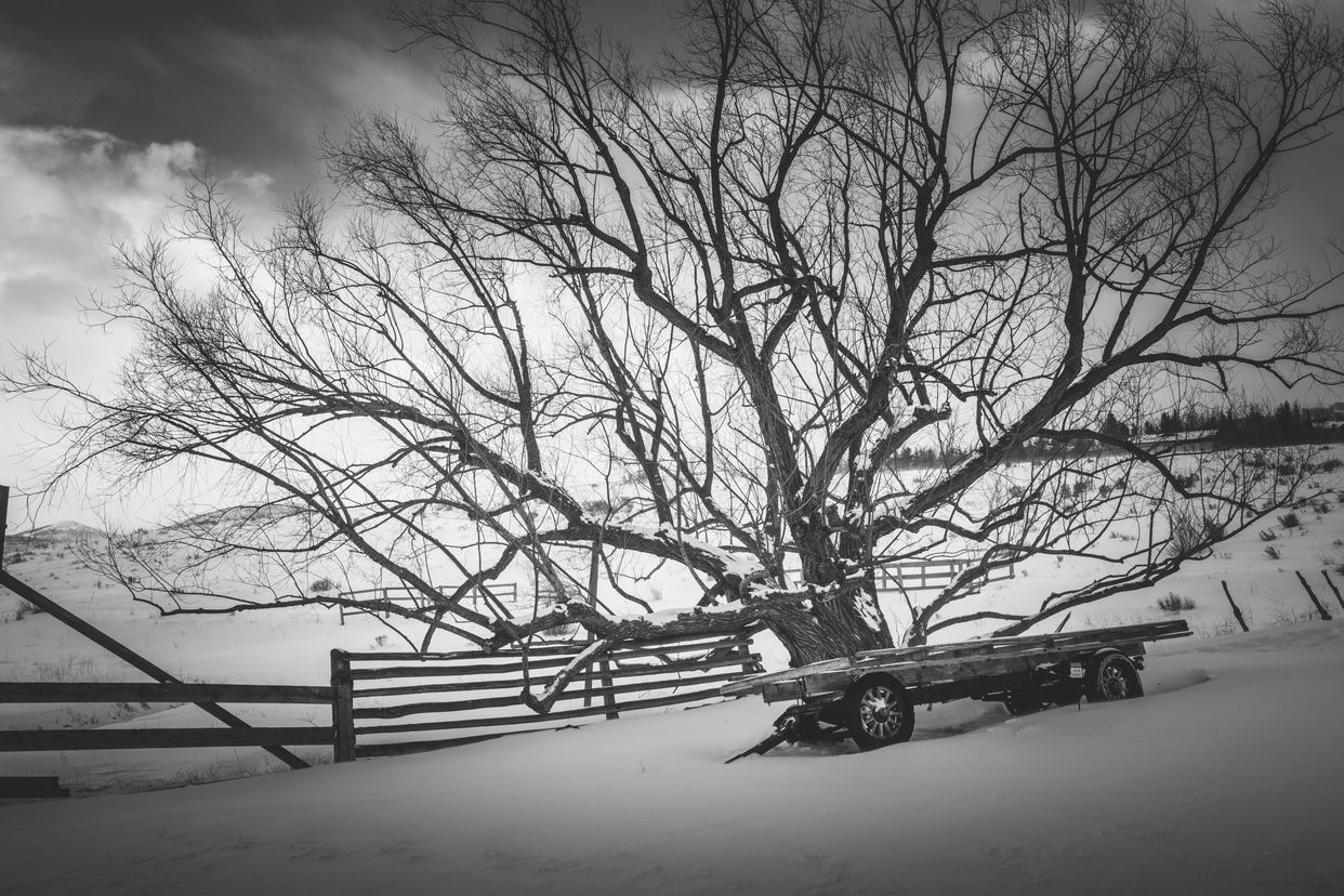 McPolin Farm Grounds