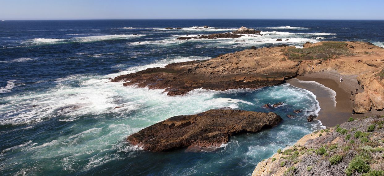 Point Lobos