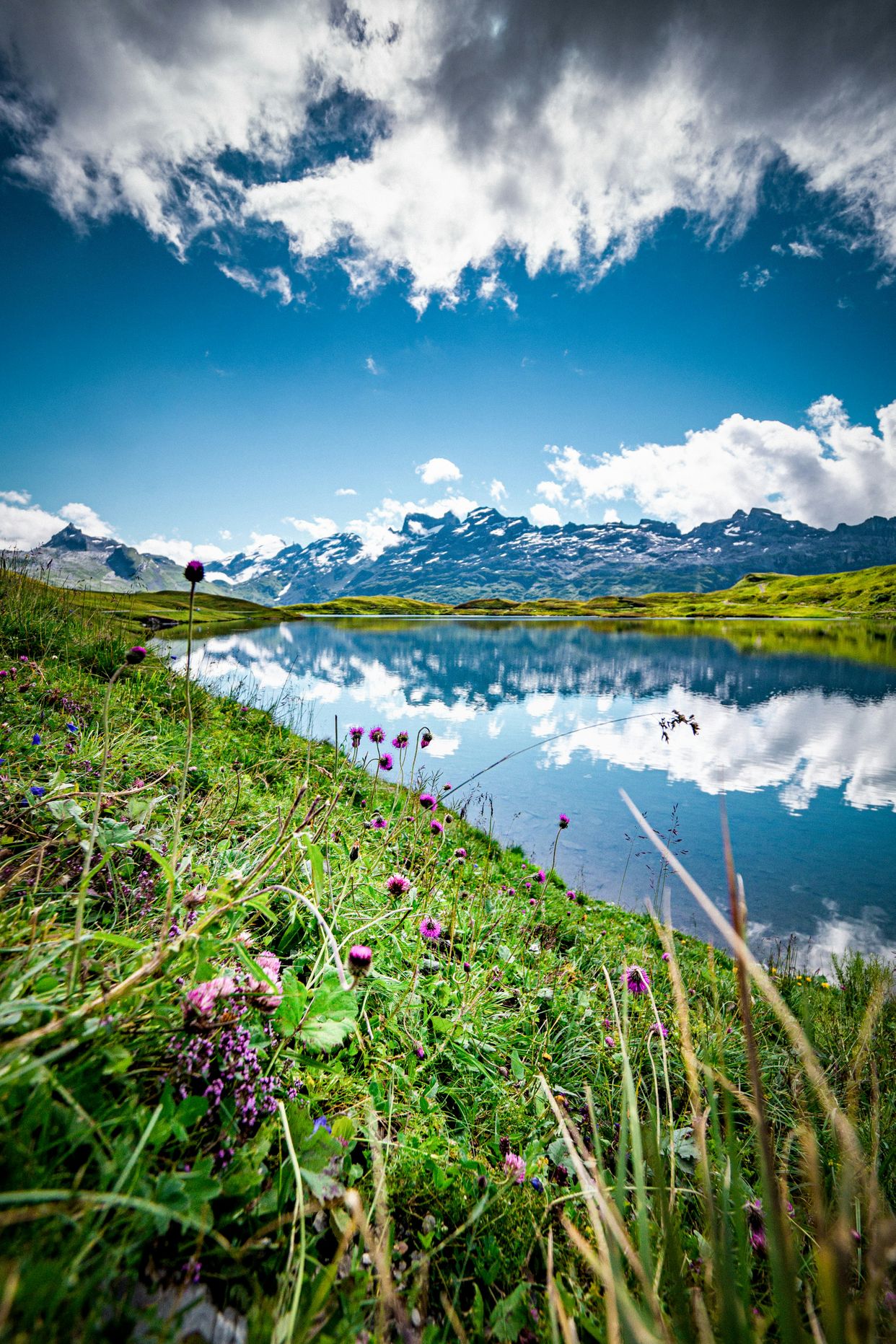 Tannensee