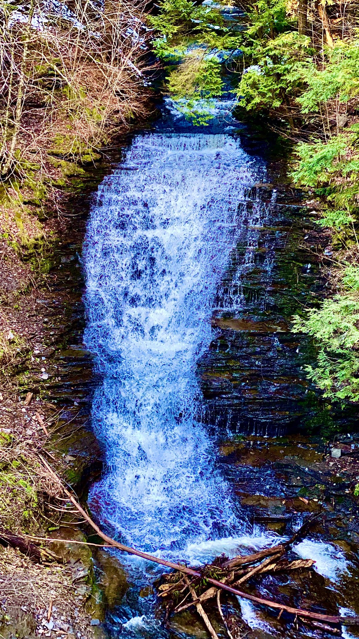 Buttermilk Rd Falls