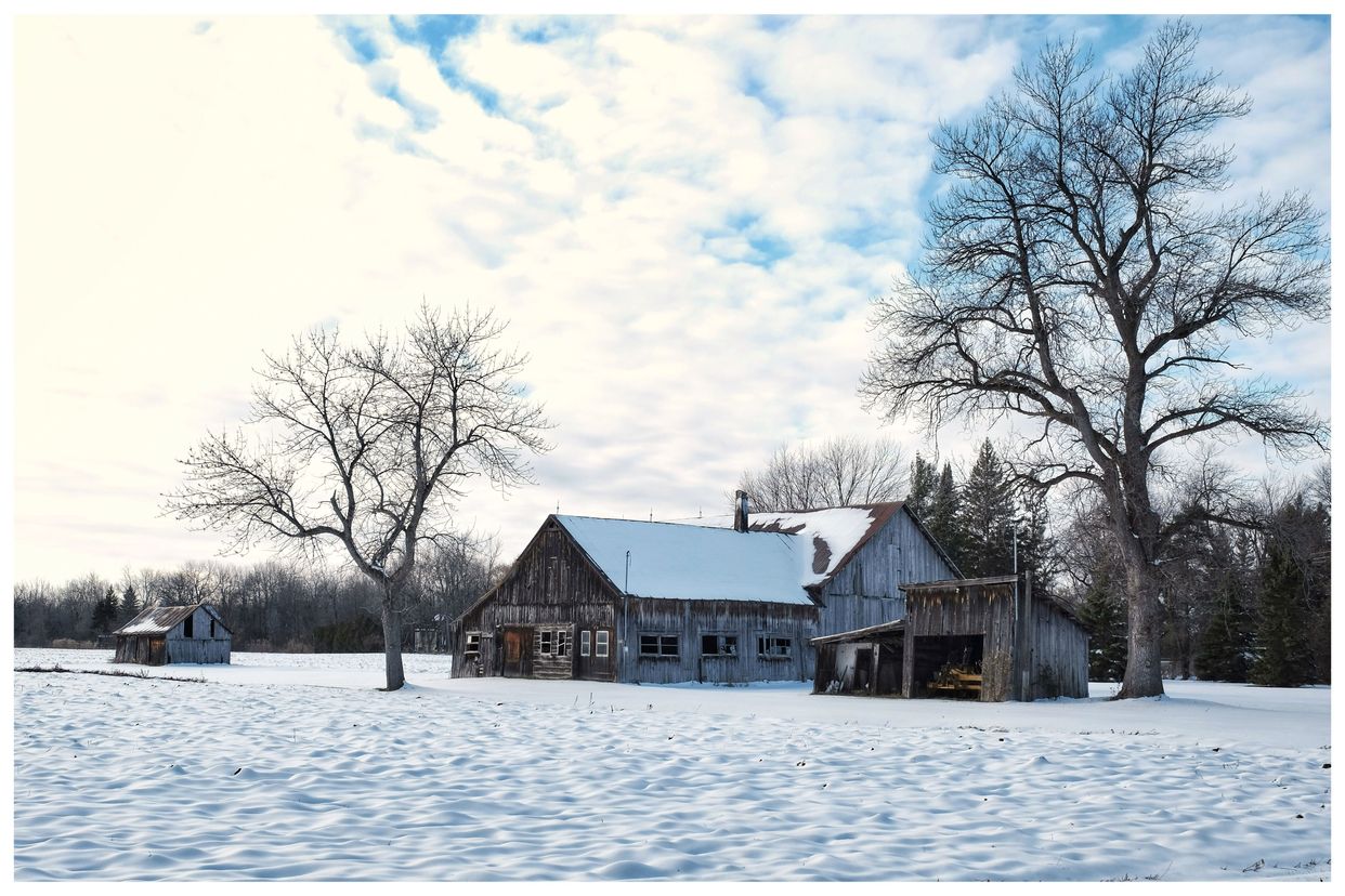 Old Barns