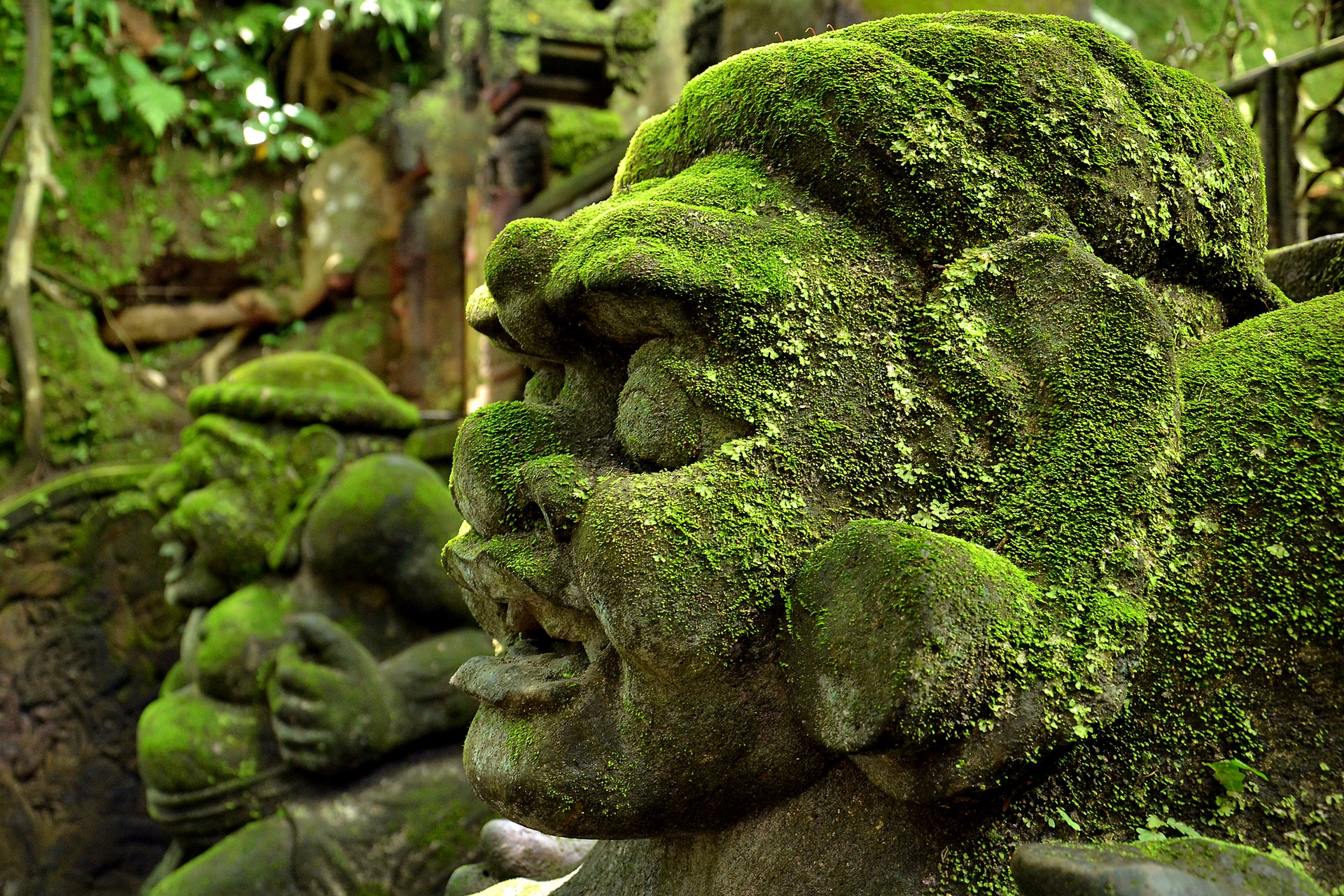 Ubud Sacred Monkey Forest