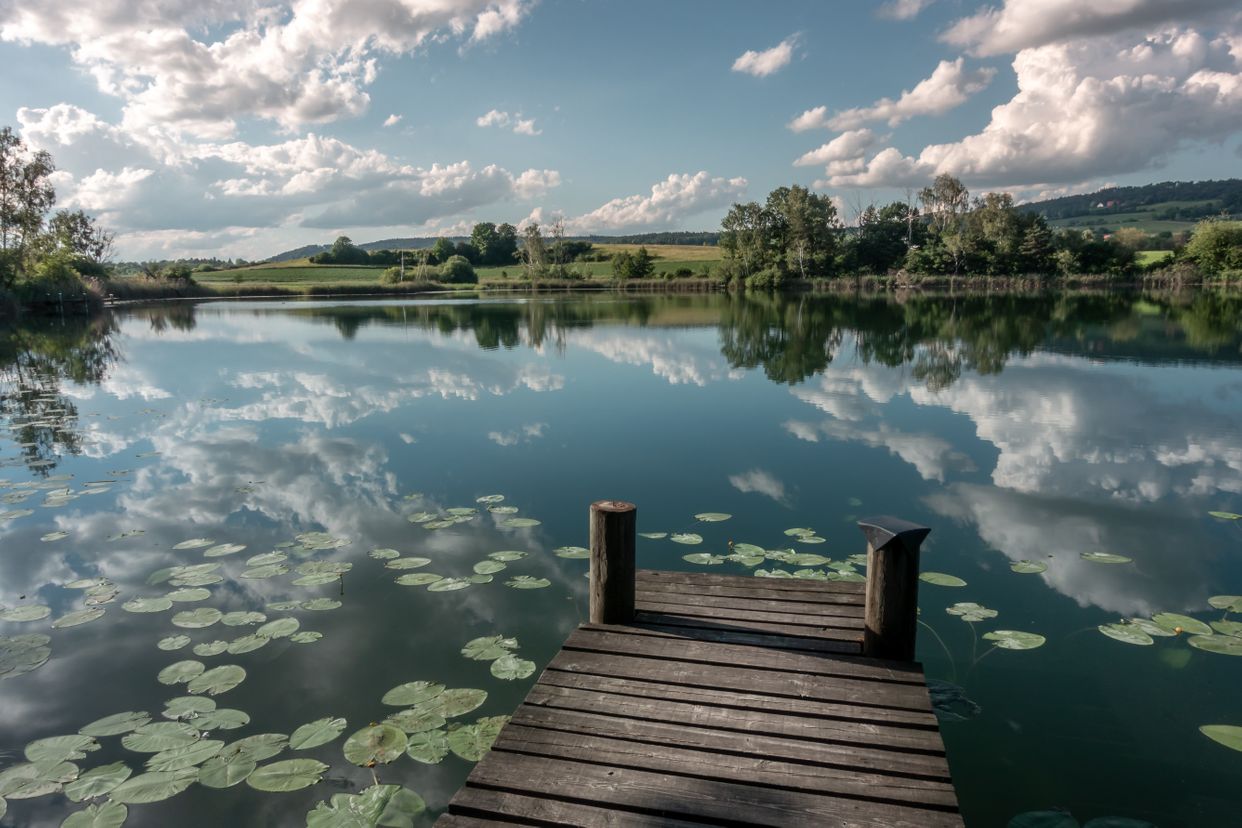 Hasensee