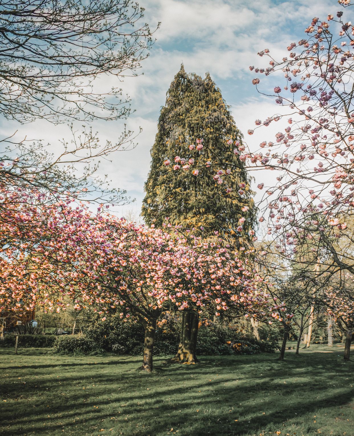 Ormeau Park
