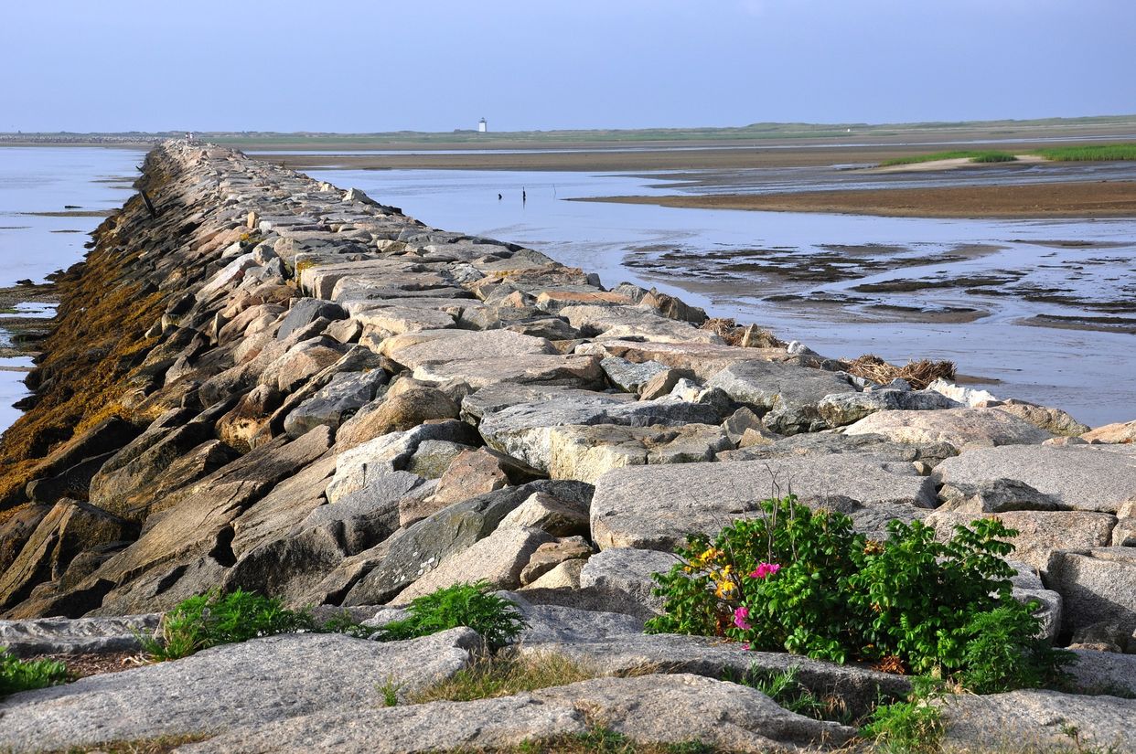 Provincetown Causeway