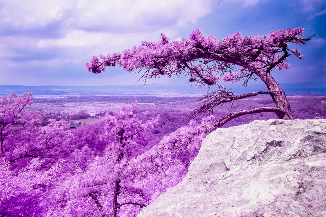 Sugarloaf Mountain View