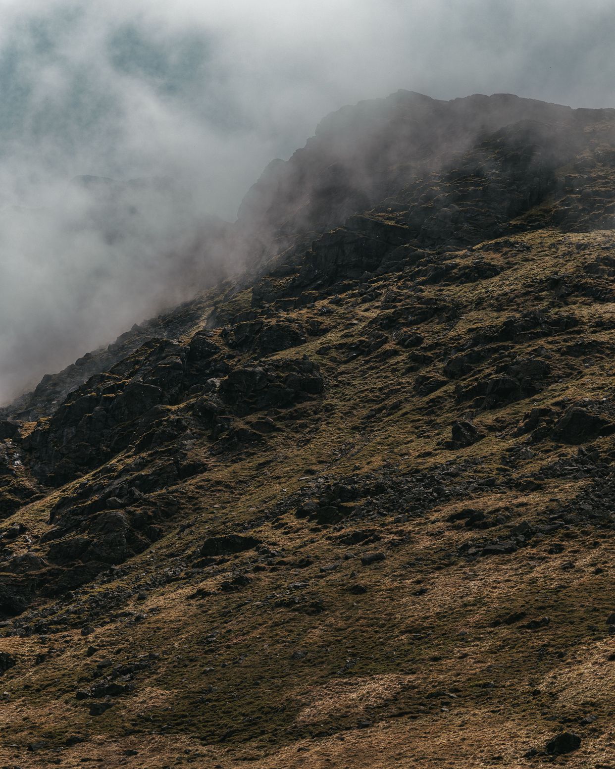 The Cobbler