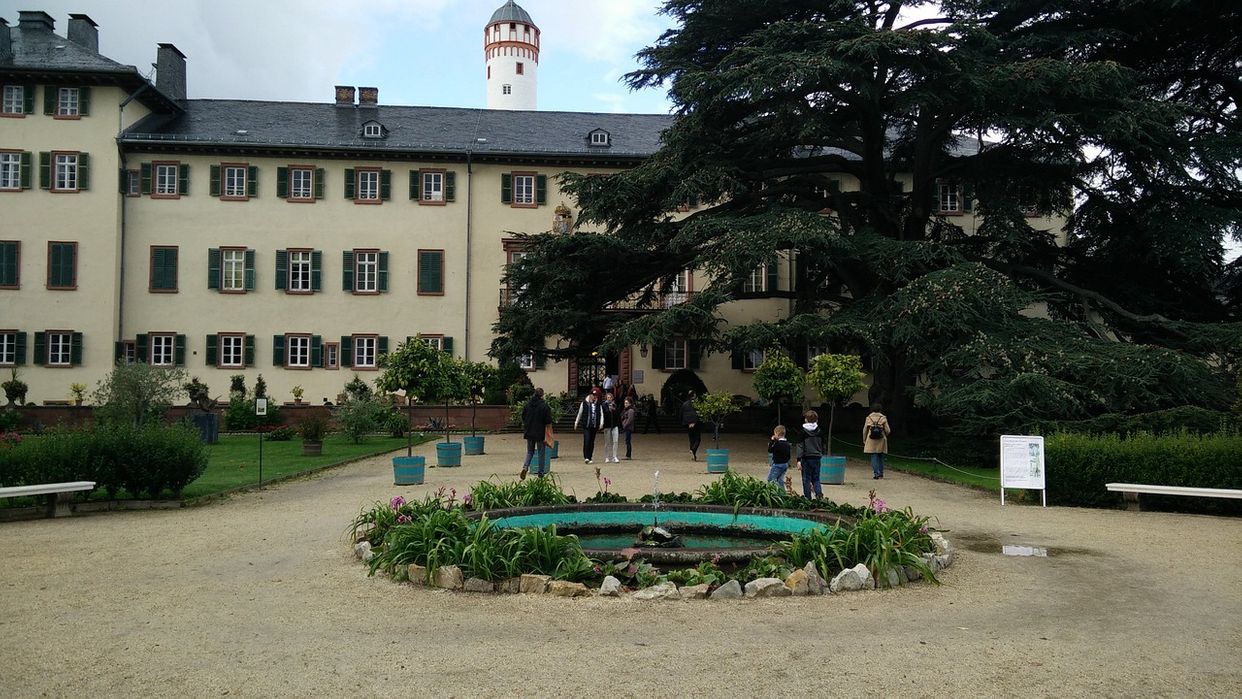 Bad Homburg Castle