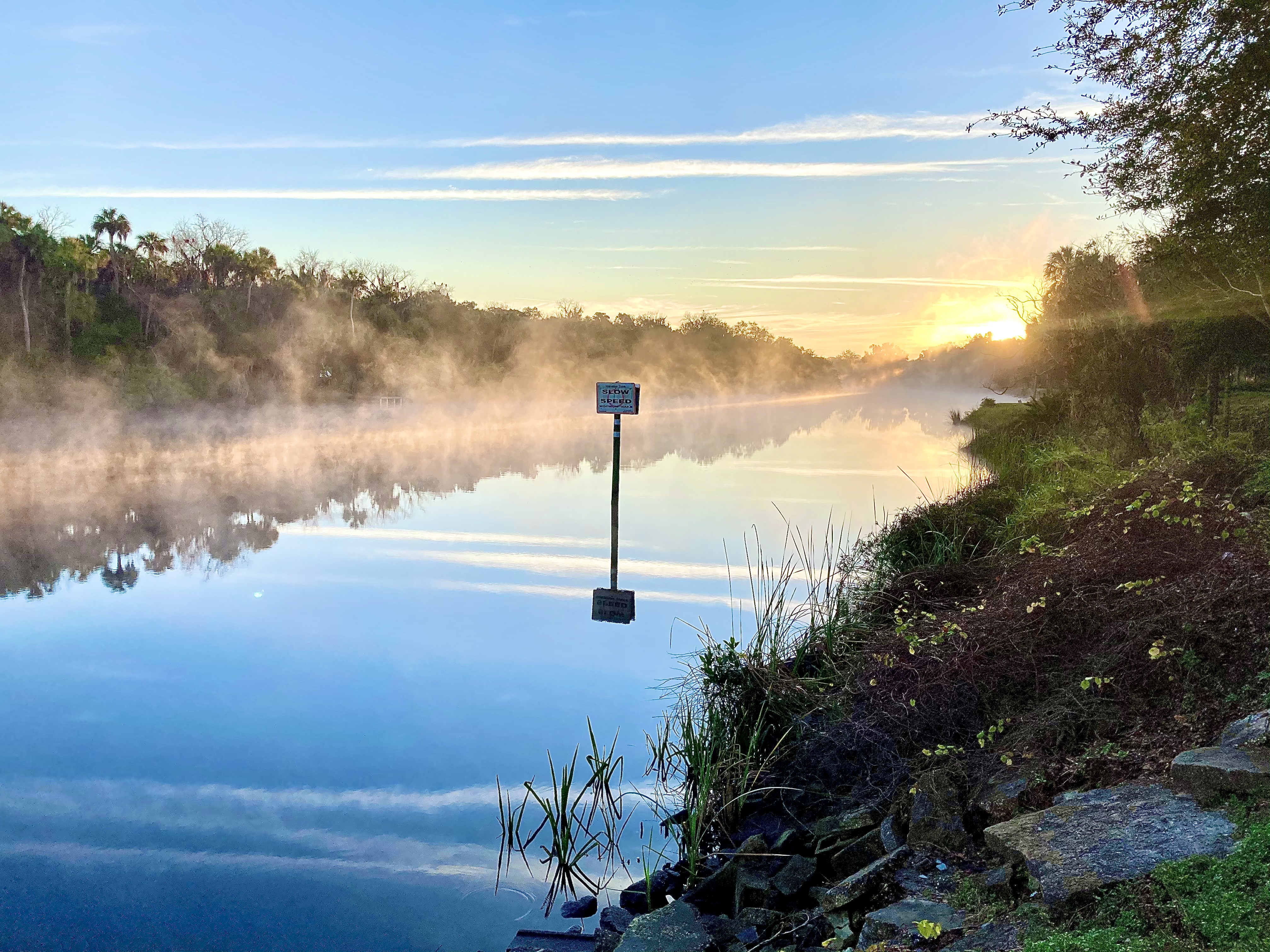 Manatee River — Photo by facebook.com/JamesKidd86