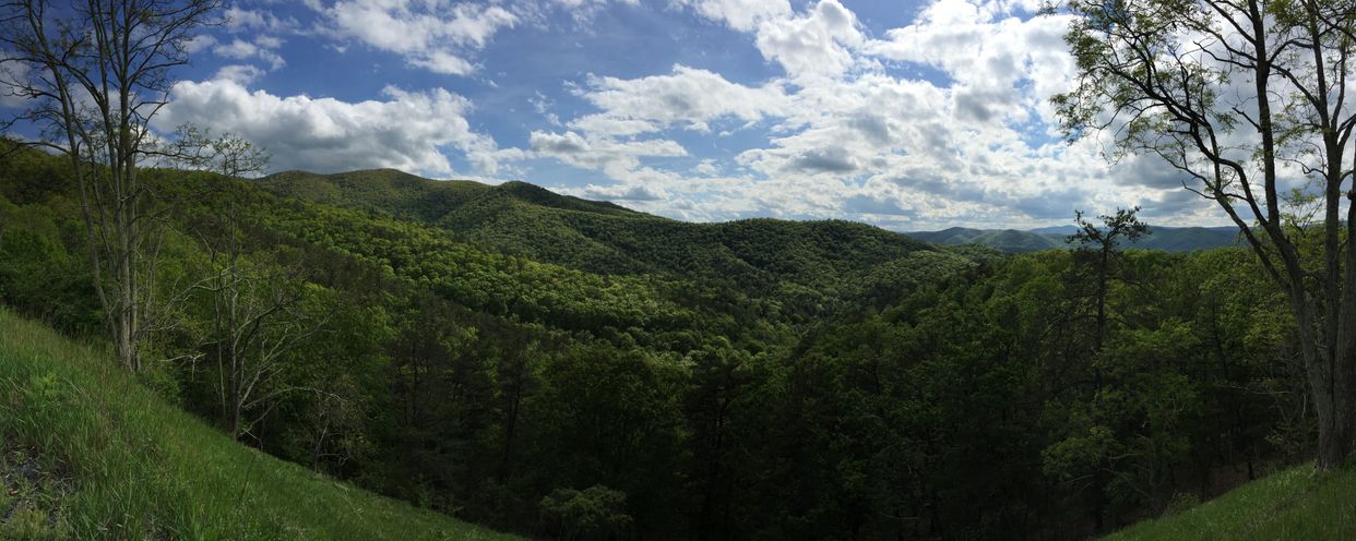 Devrick Hollow 