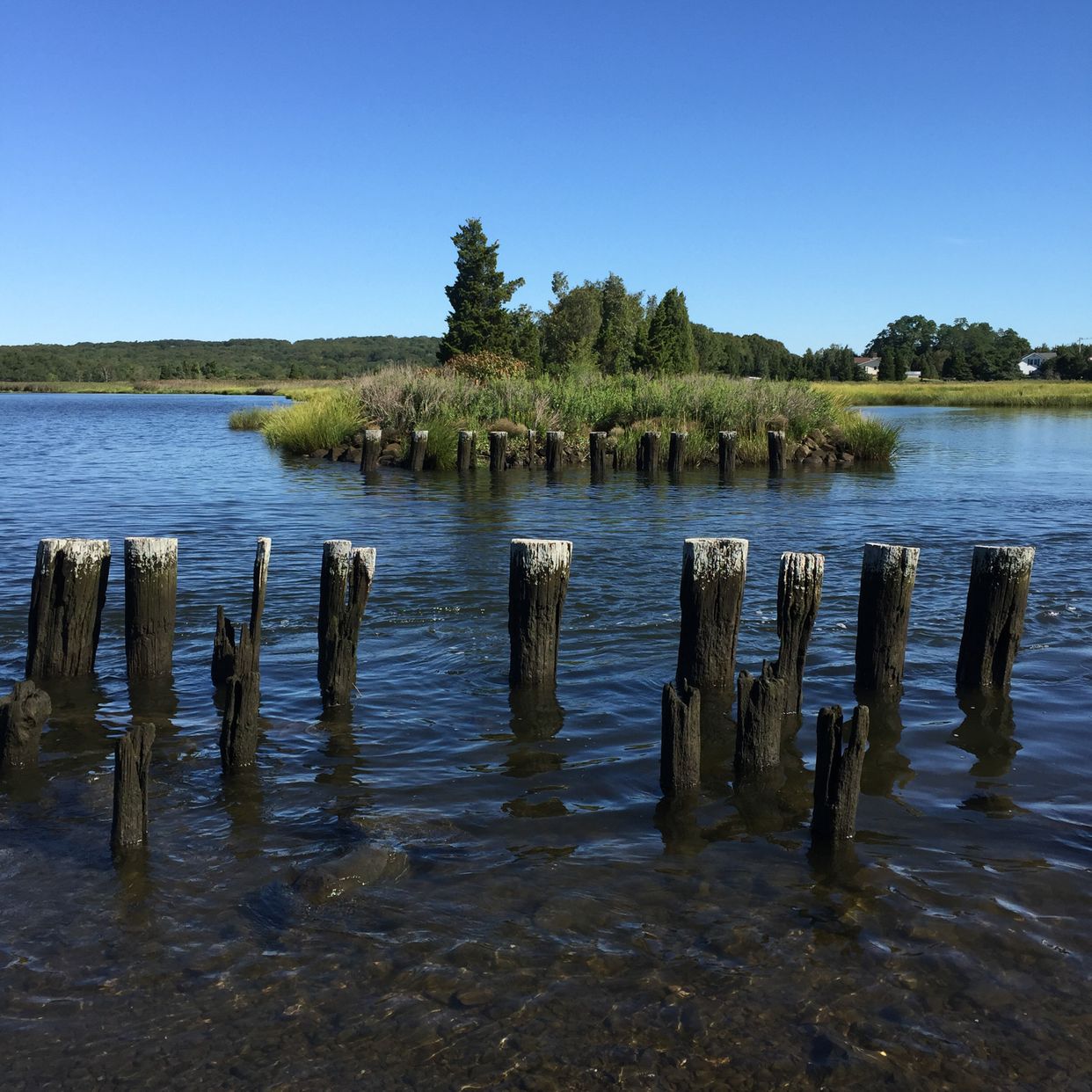 Broad Cove,