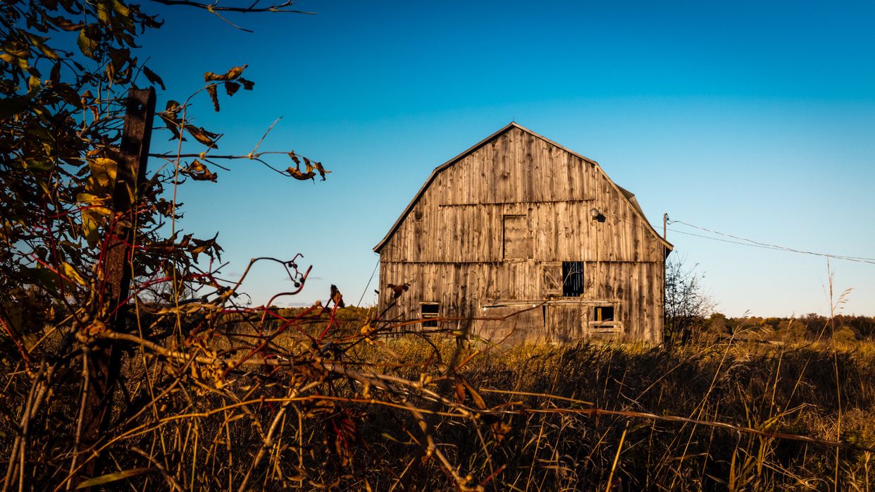 Abandoned Farm