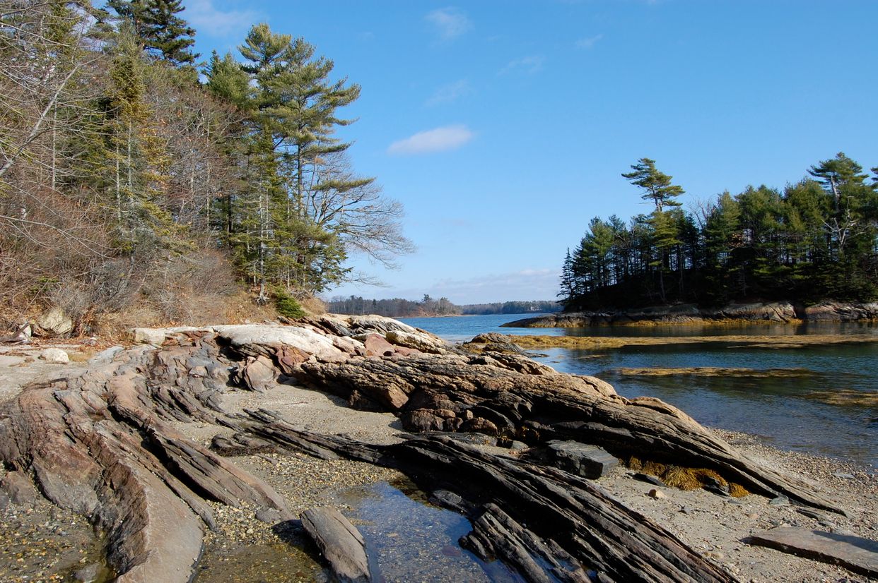 Wolfe's Neck Woods State Park