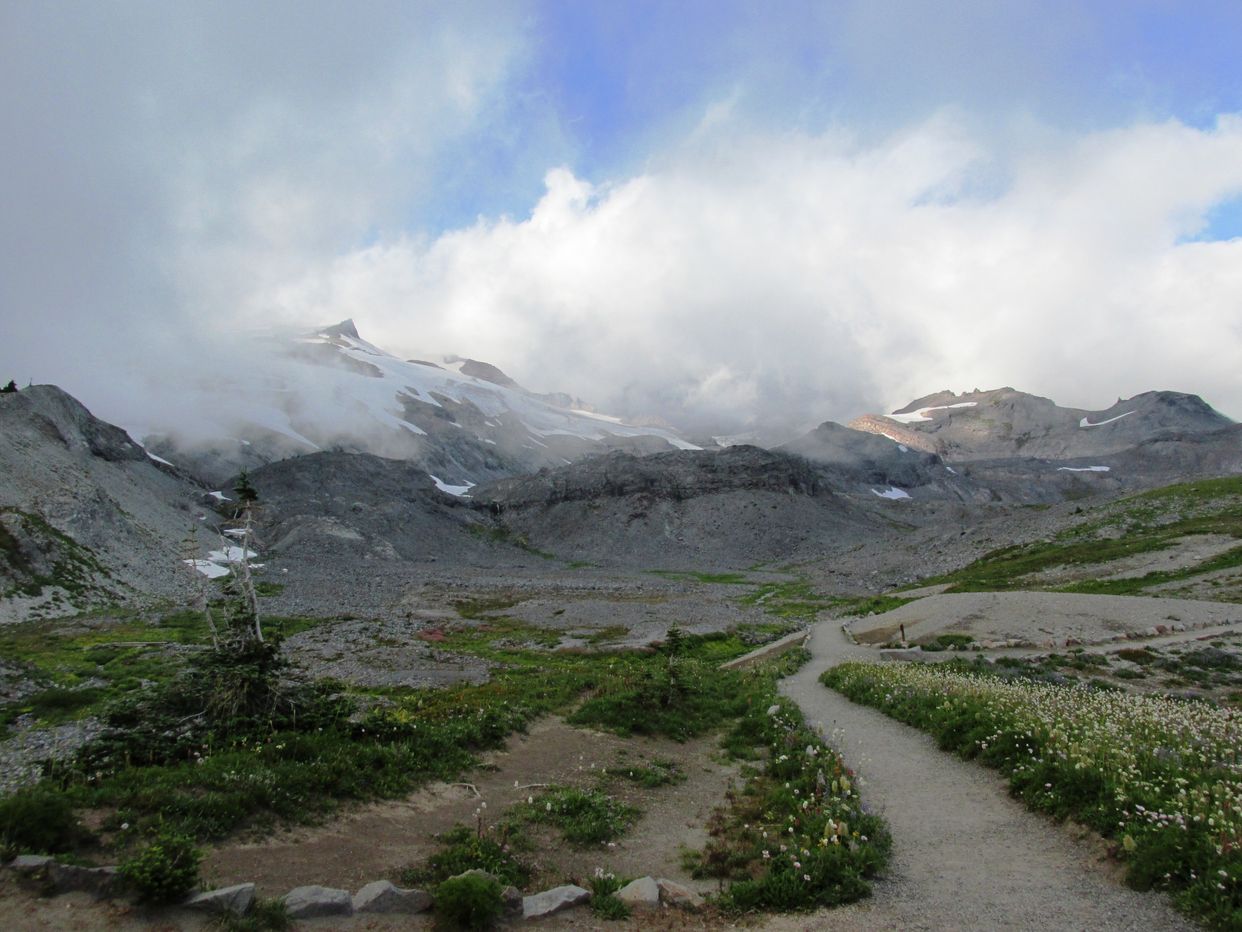 Skyline Trail View