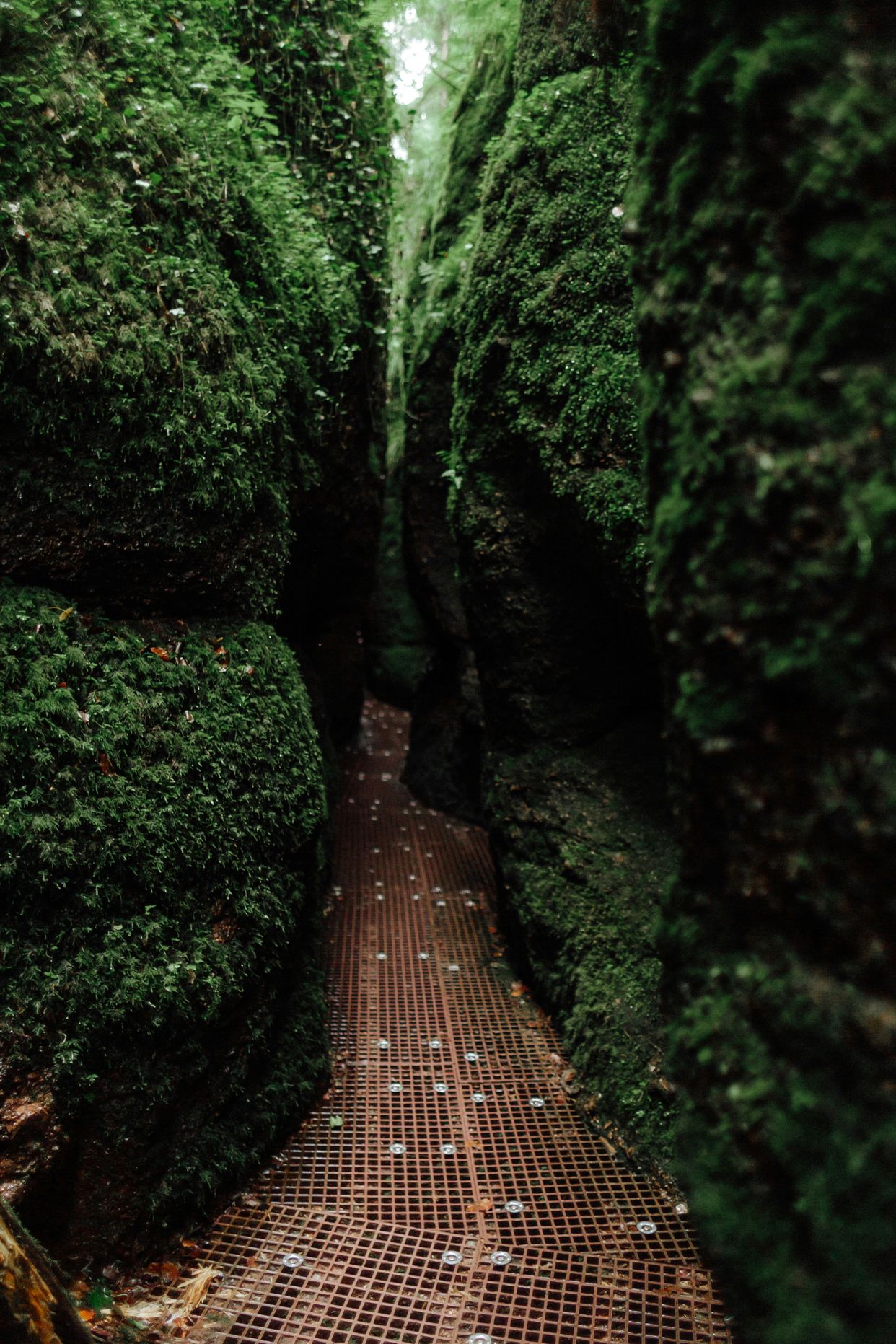 Drachenschlucht