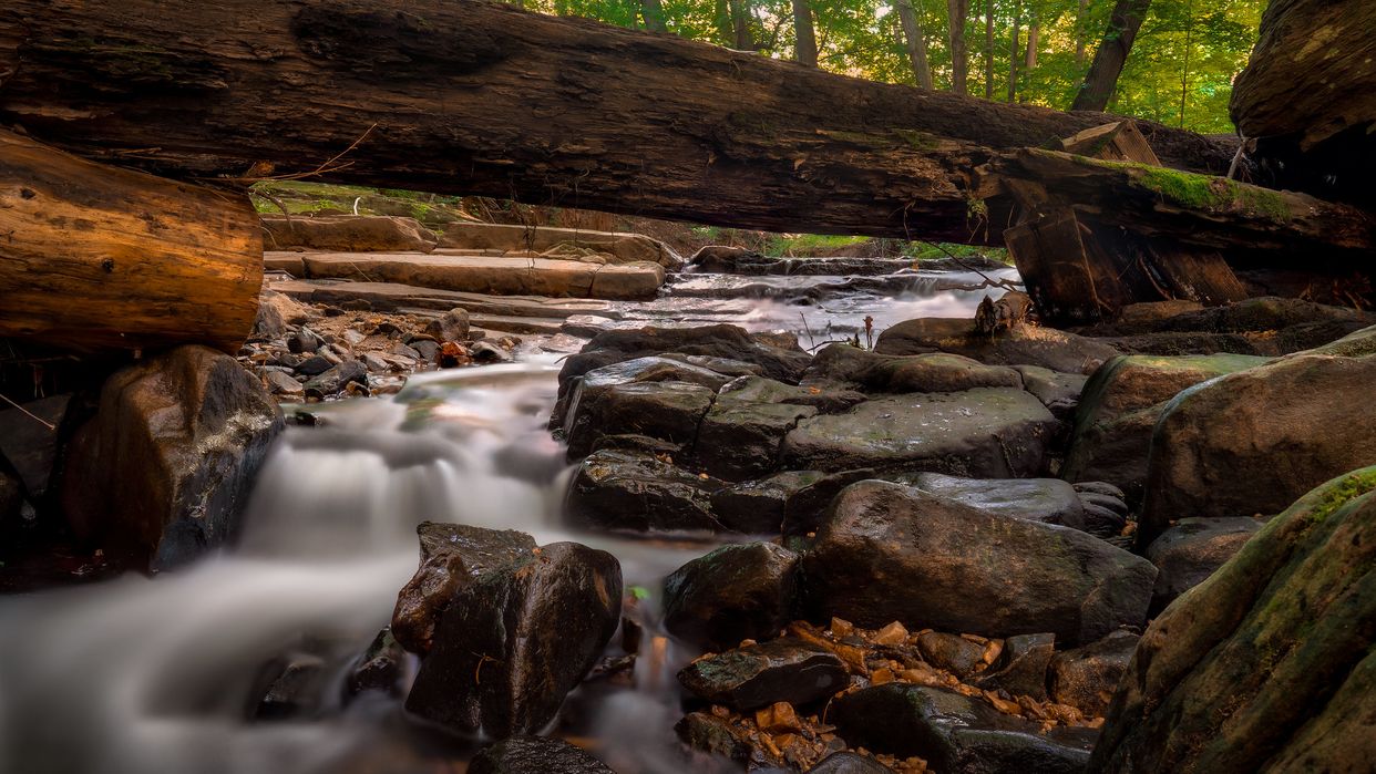 Croydon Creek Rapids