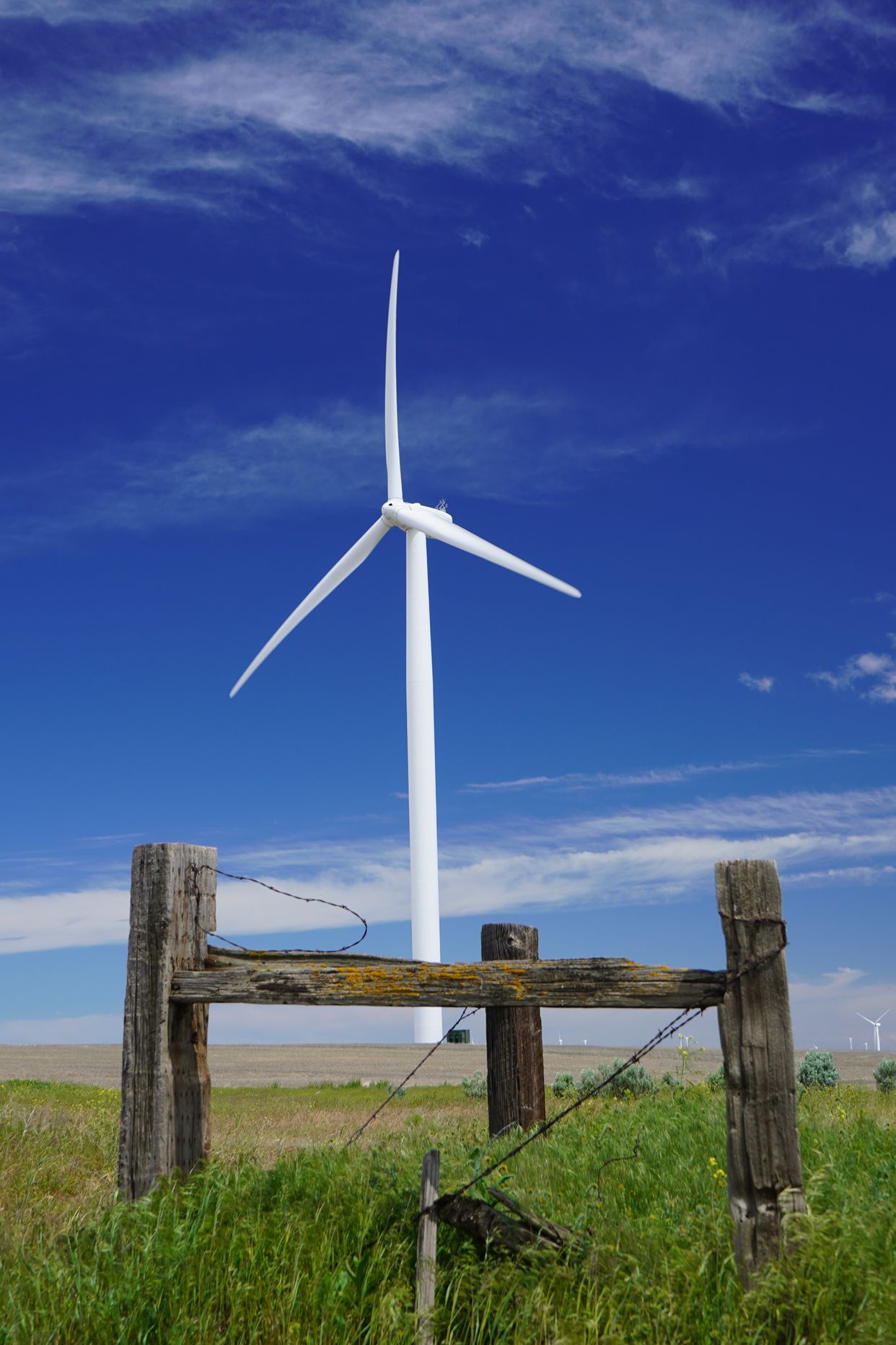 Biglow Canyon Wind Farm