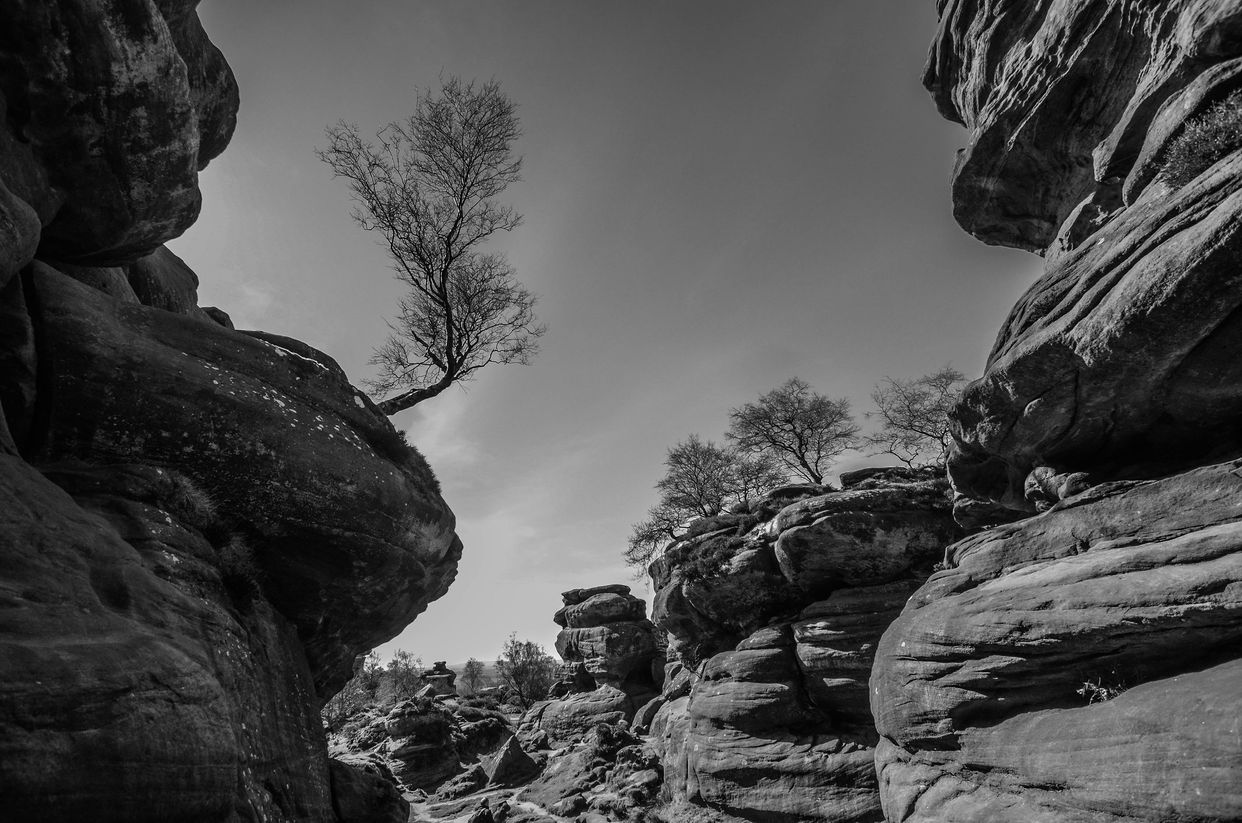 National Trust - Brimham Rocks