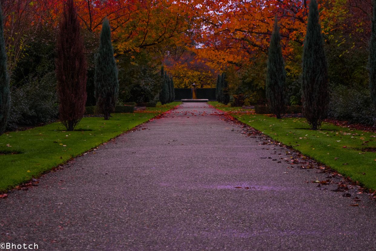 The Regent's Park