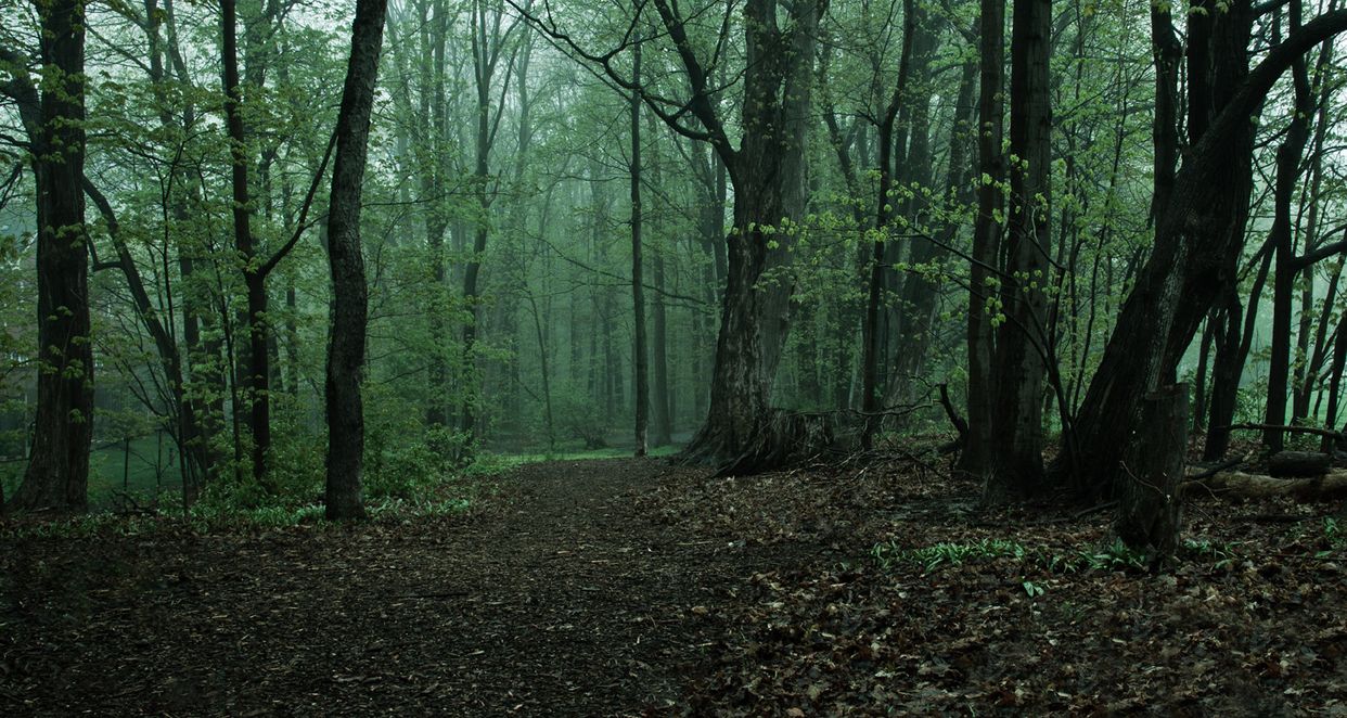 Central Park