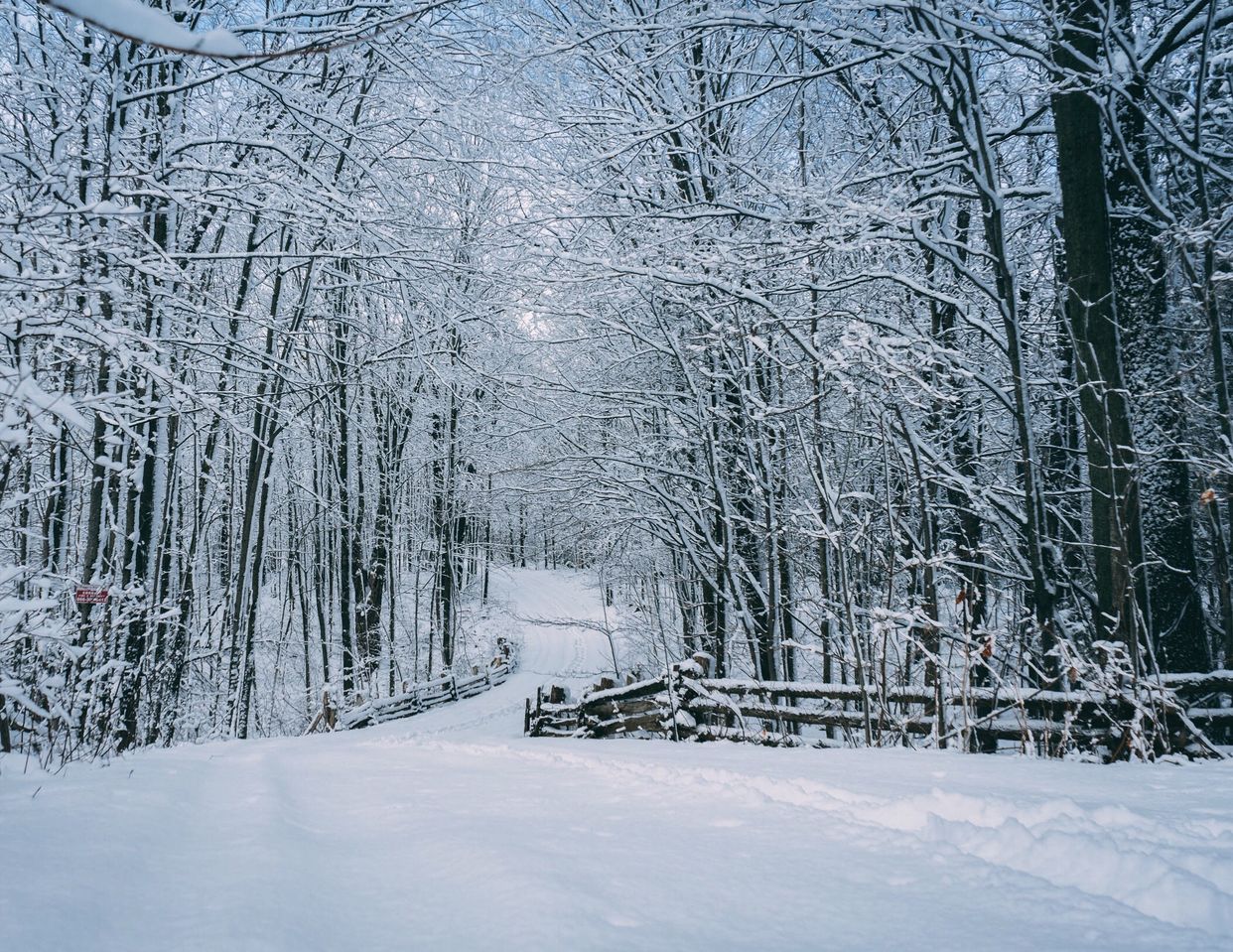 Scenic Lane