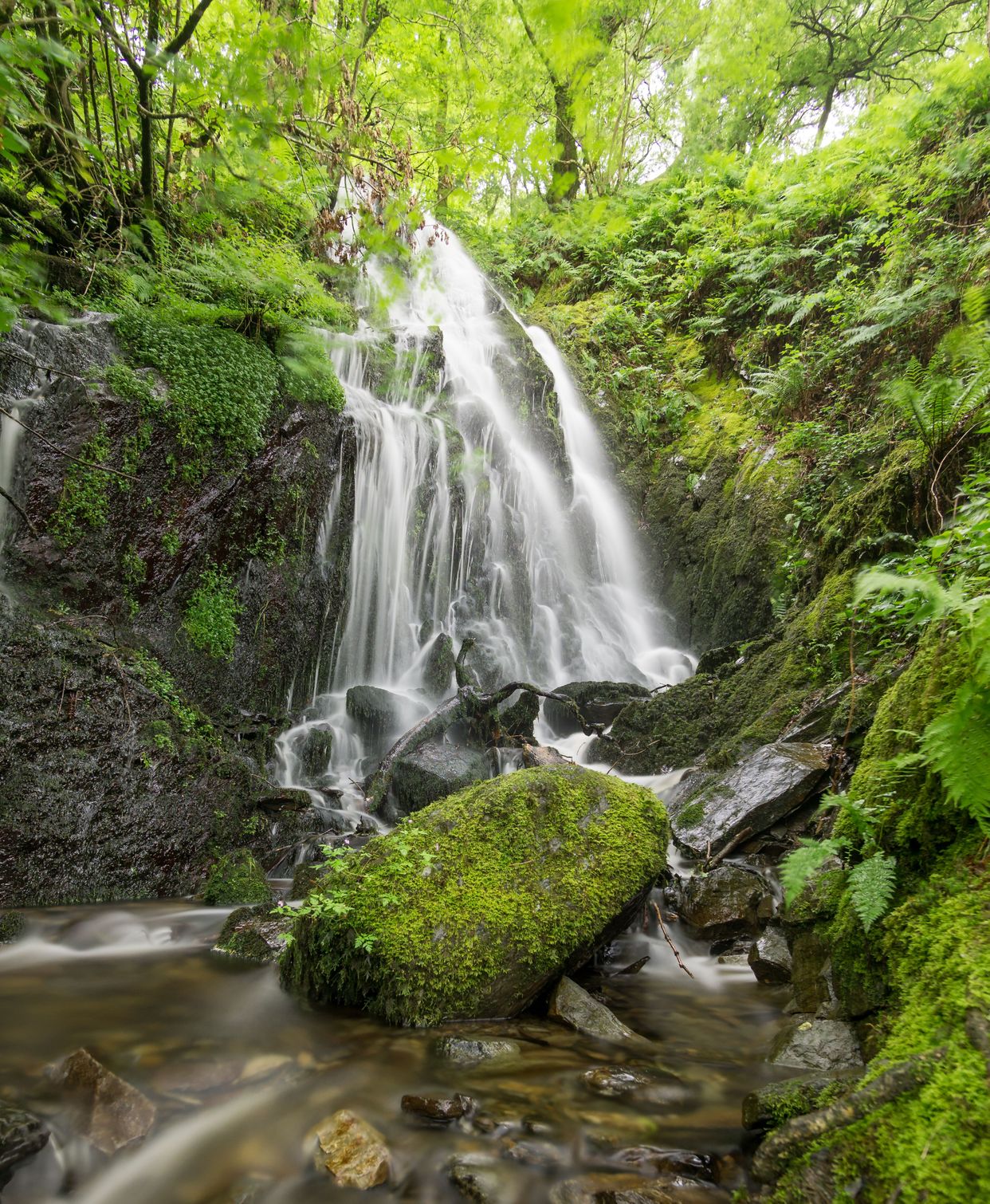 Dolgoch Falls
