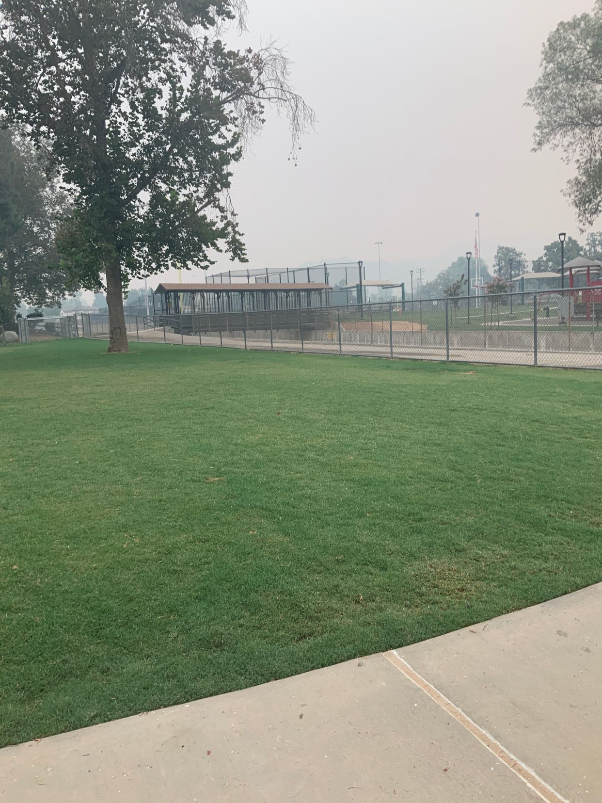 Eisenhower Park