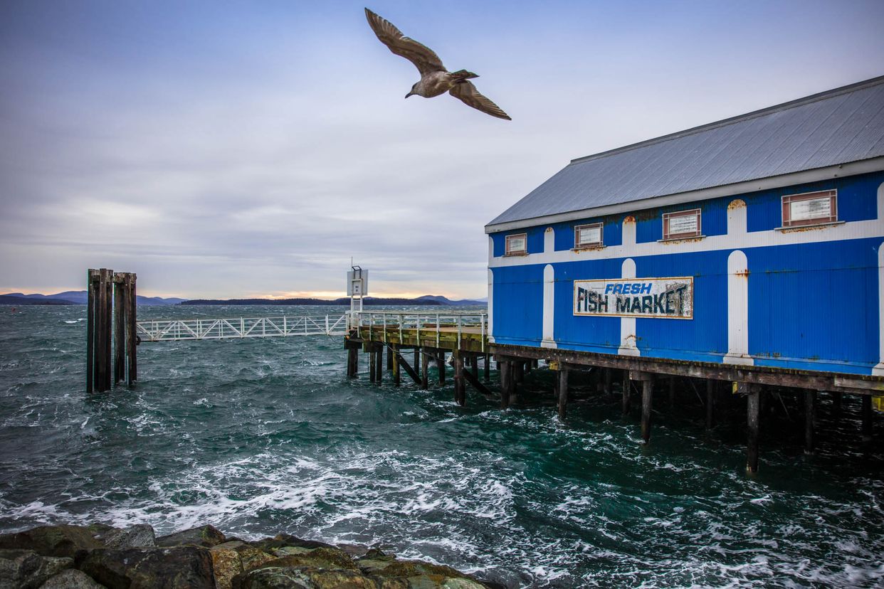 Fish Market