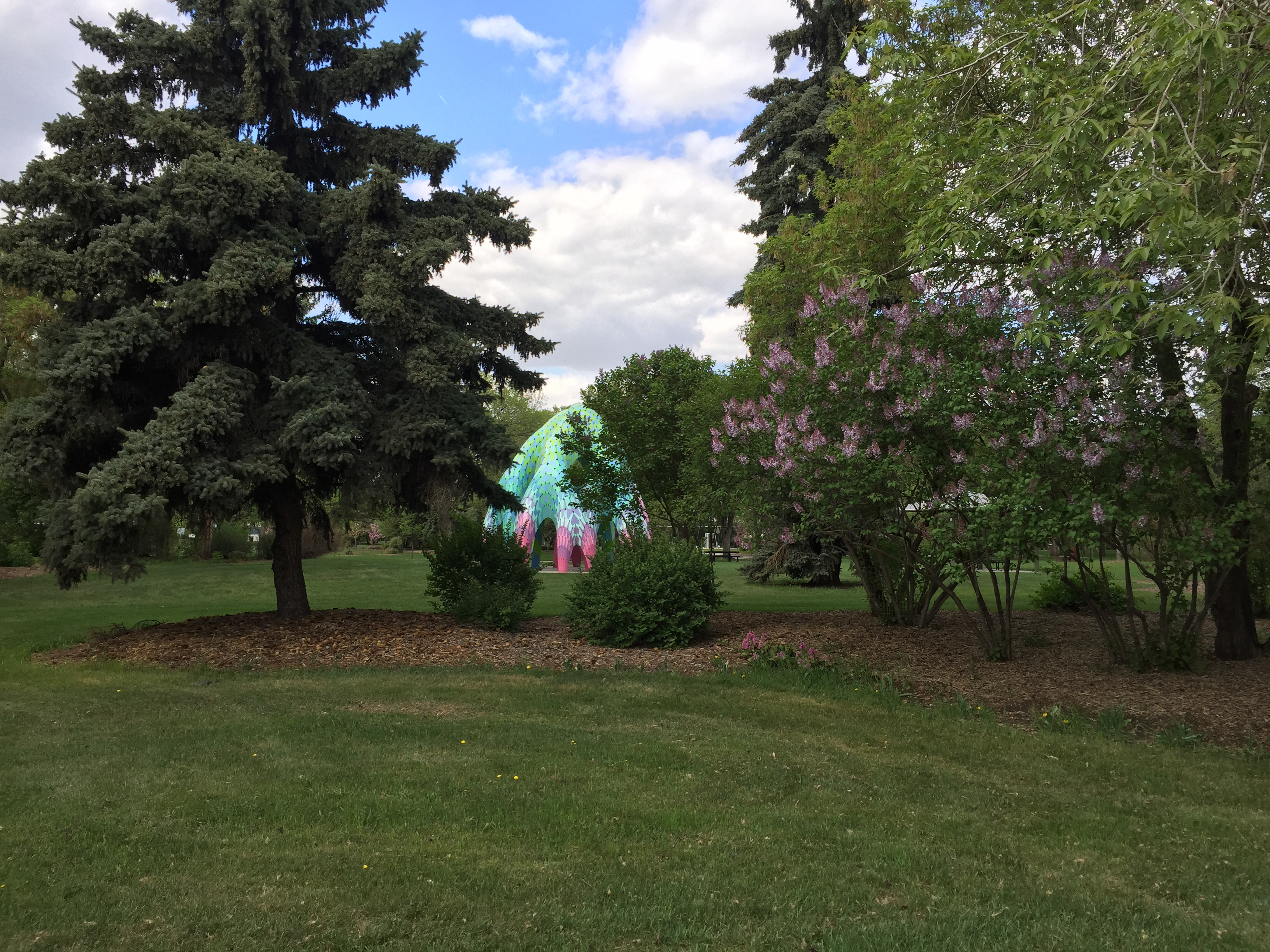 The Vaulted Willow — Photo by Cyndi