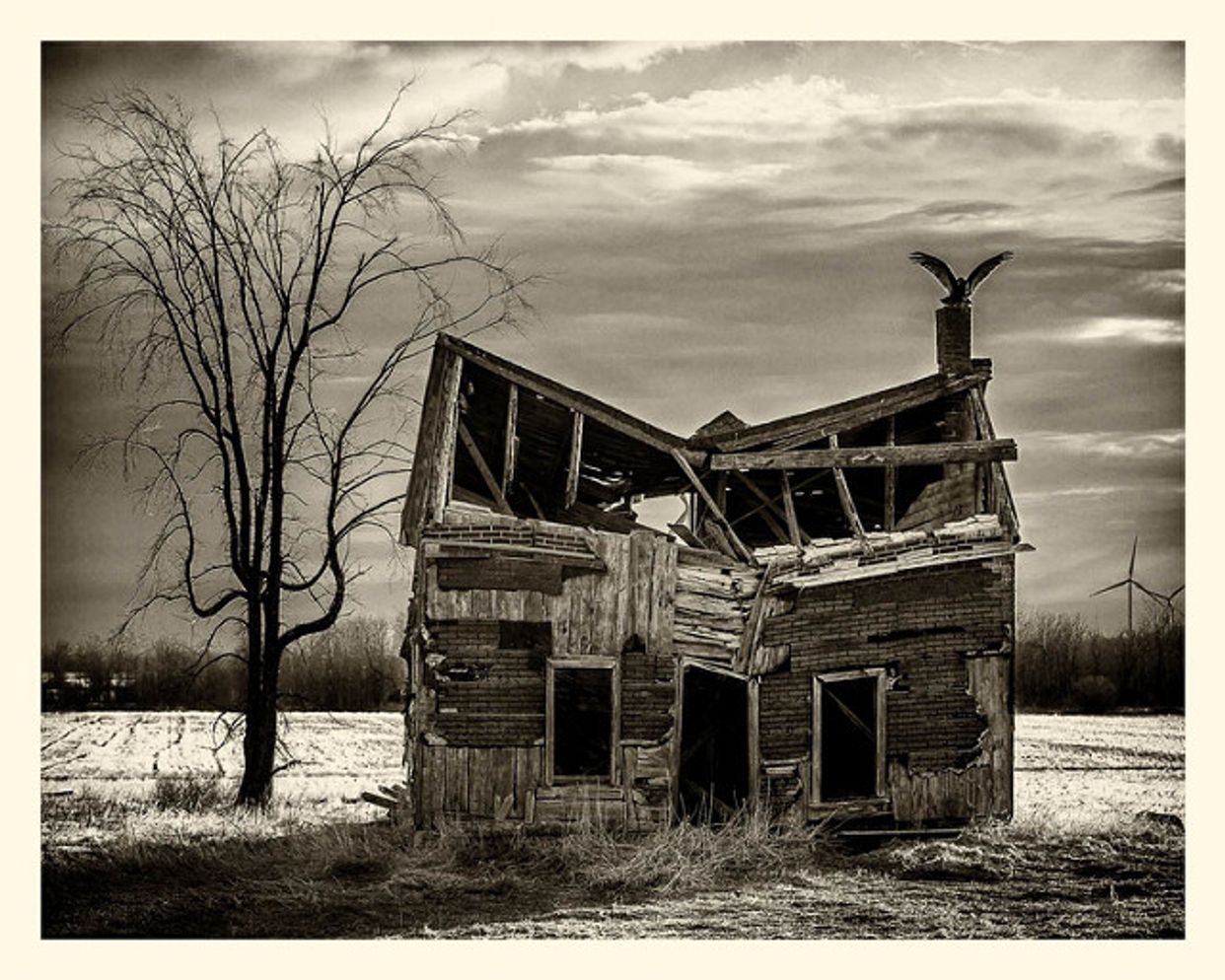 Vulture's Roost