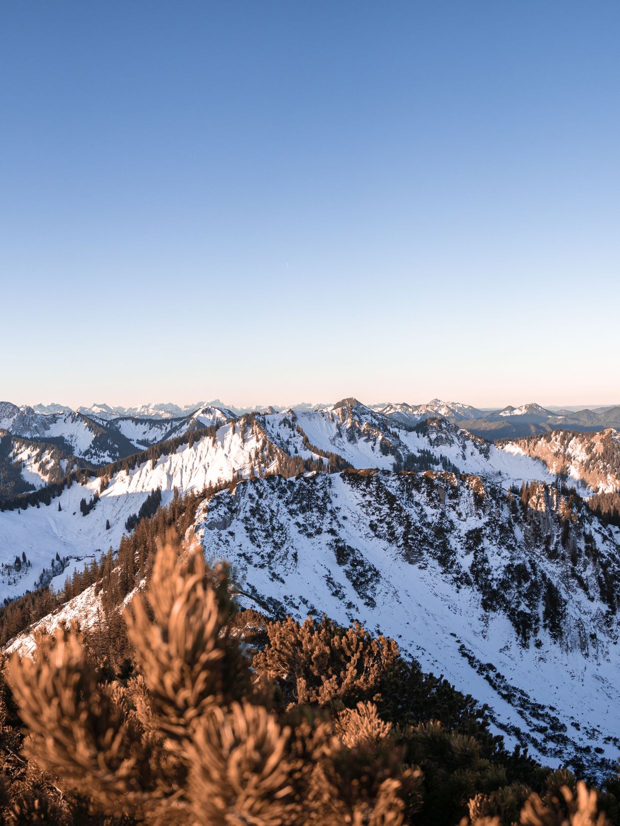 Brecherspitz Summit