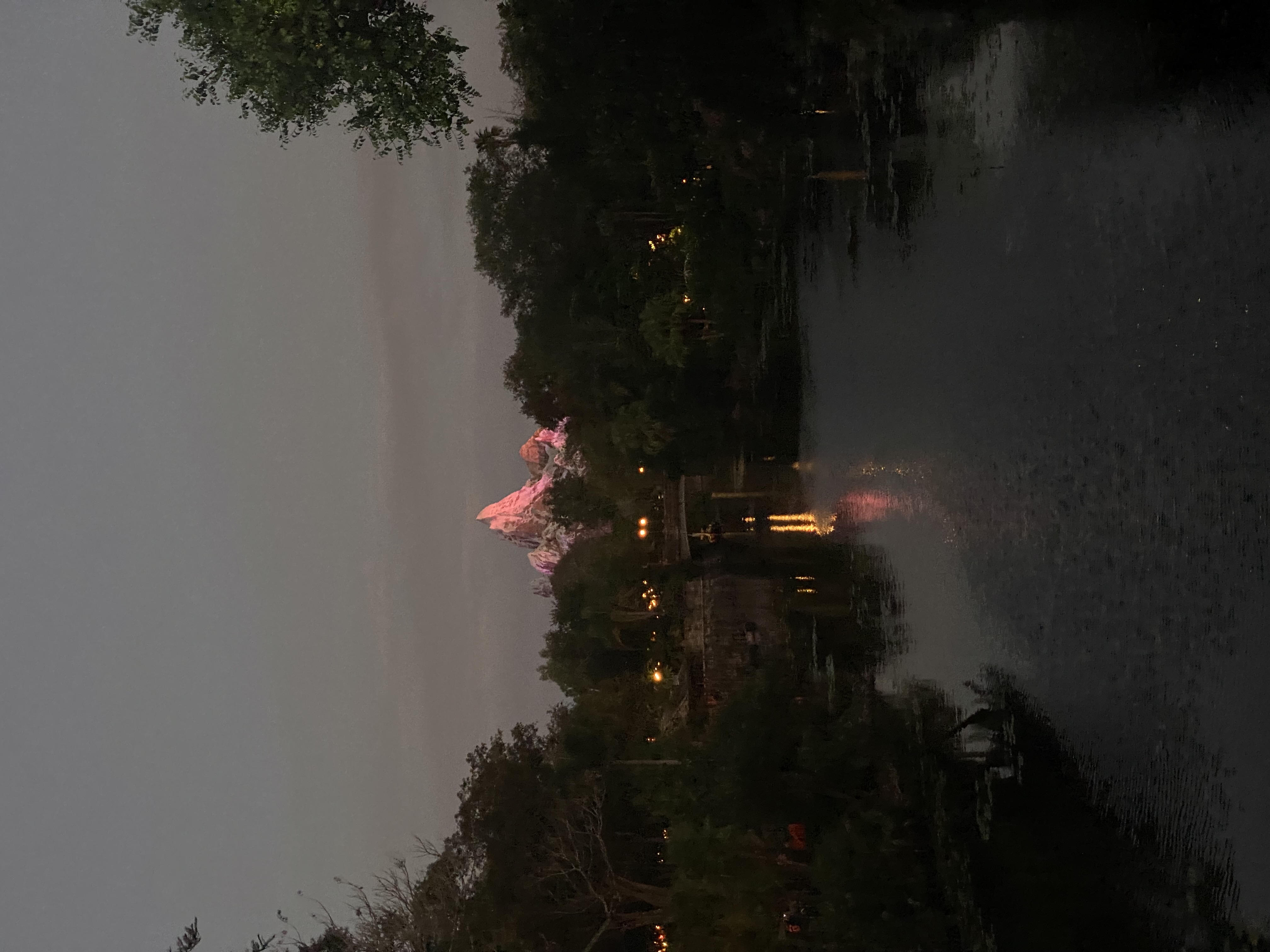 View of Expedition Everest — Photo by stina rodriguez