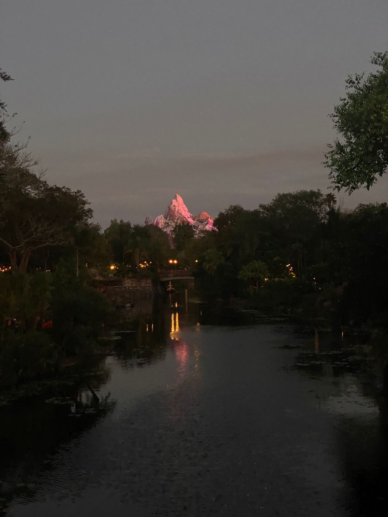 View of Expedition Everest - Photo by stina rodriguez