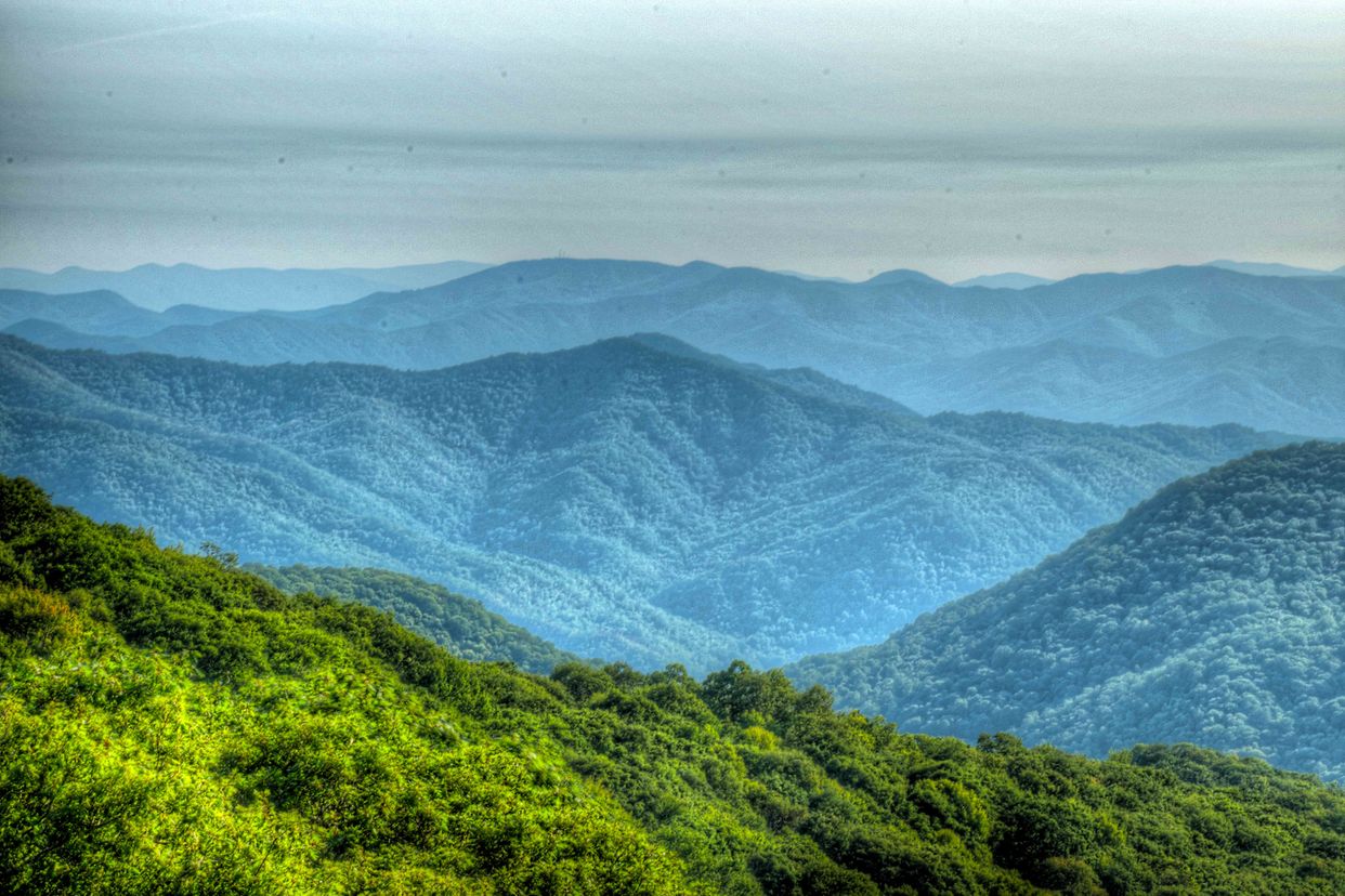 View from the  Bunches Bald Overlook