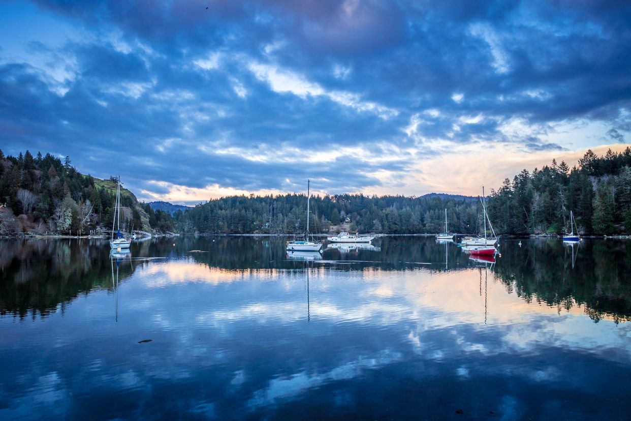 Anderson Cove View