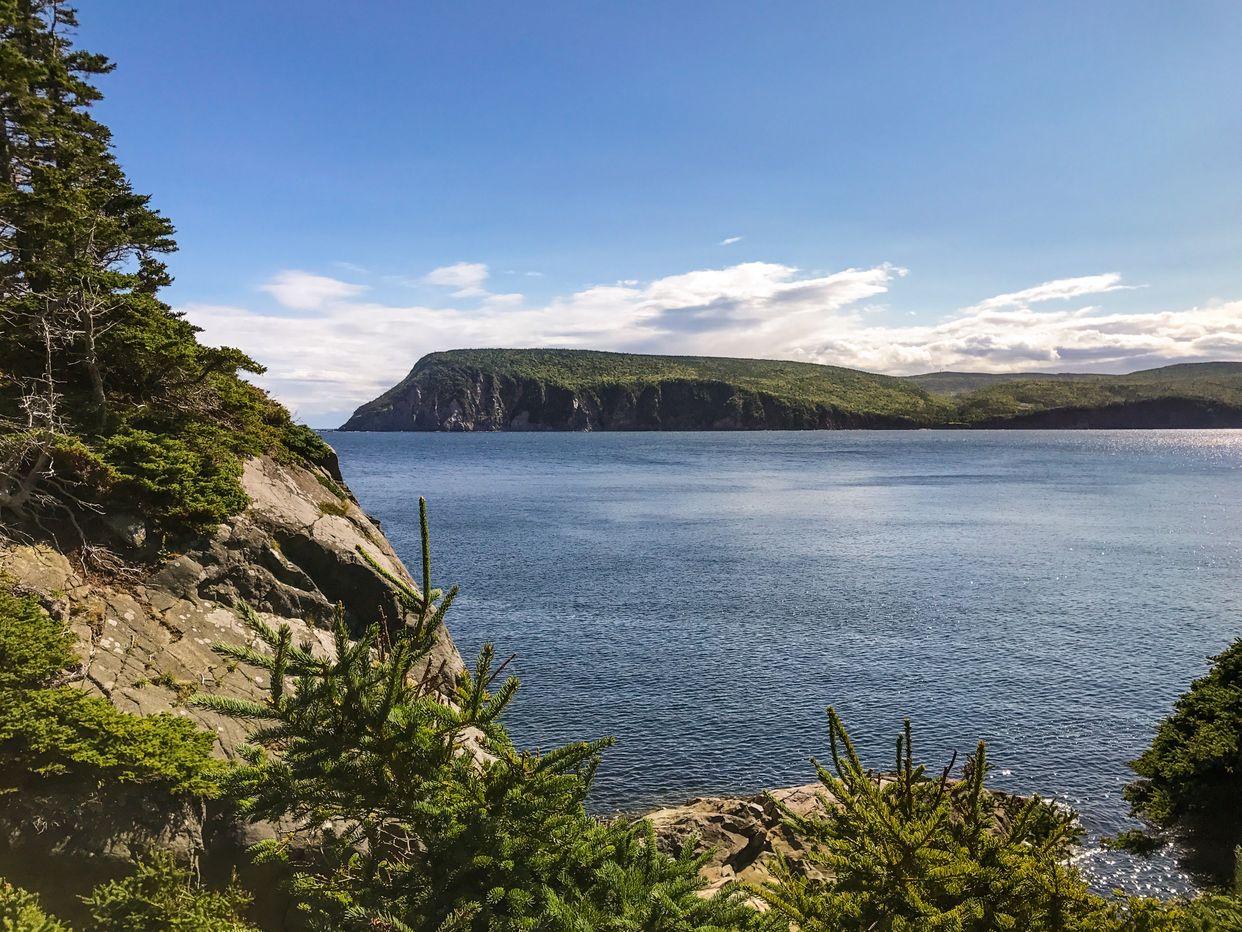 Middlehead Hiking Trail