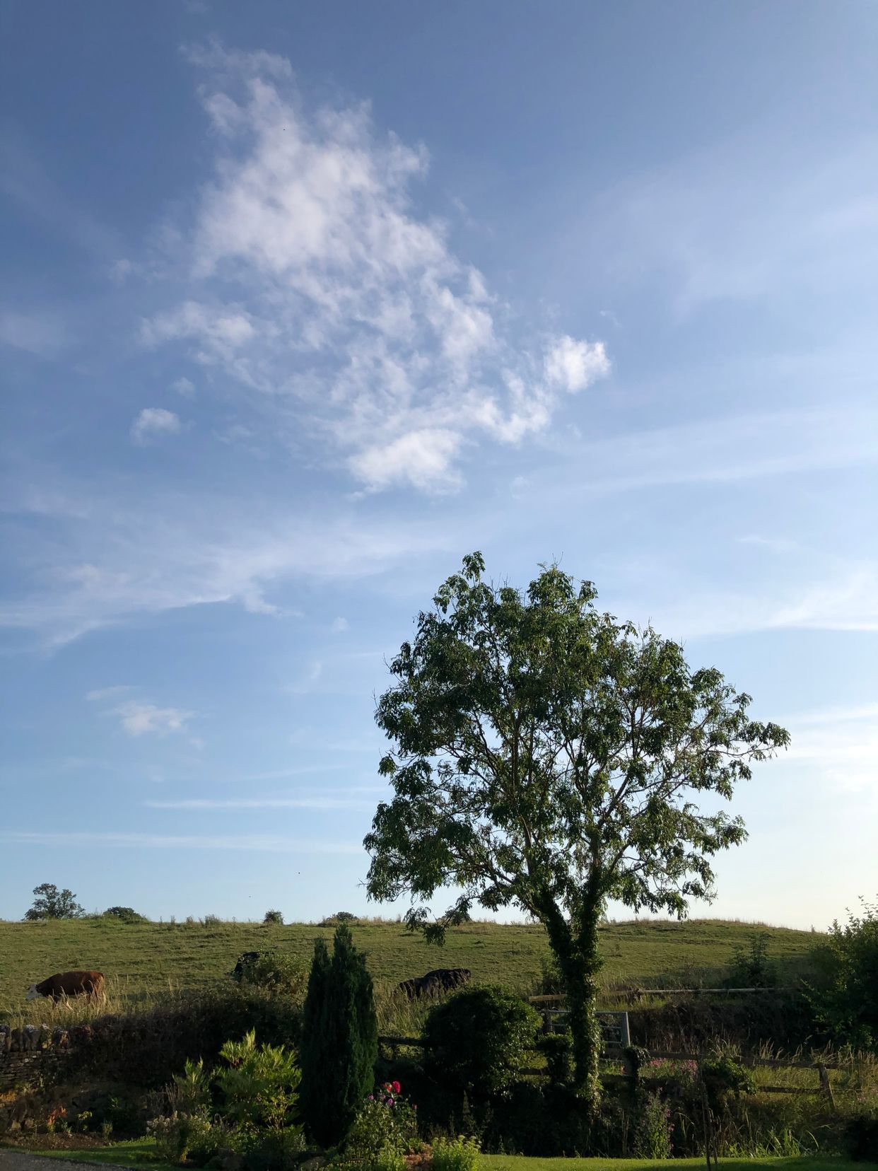 Giddeahall Countryside 