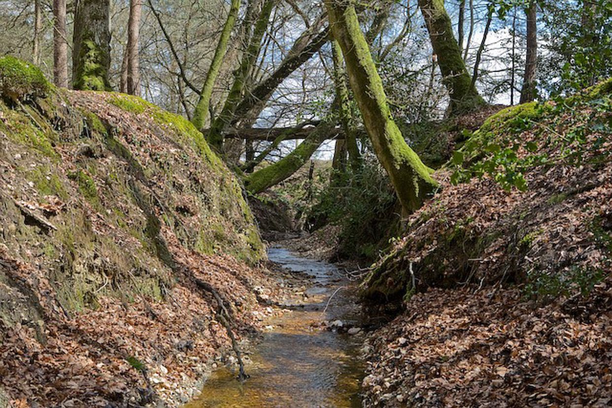 Latchmore Brook Canyon