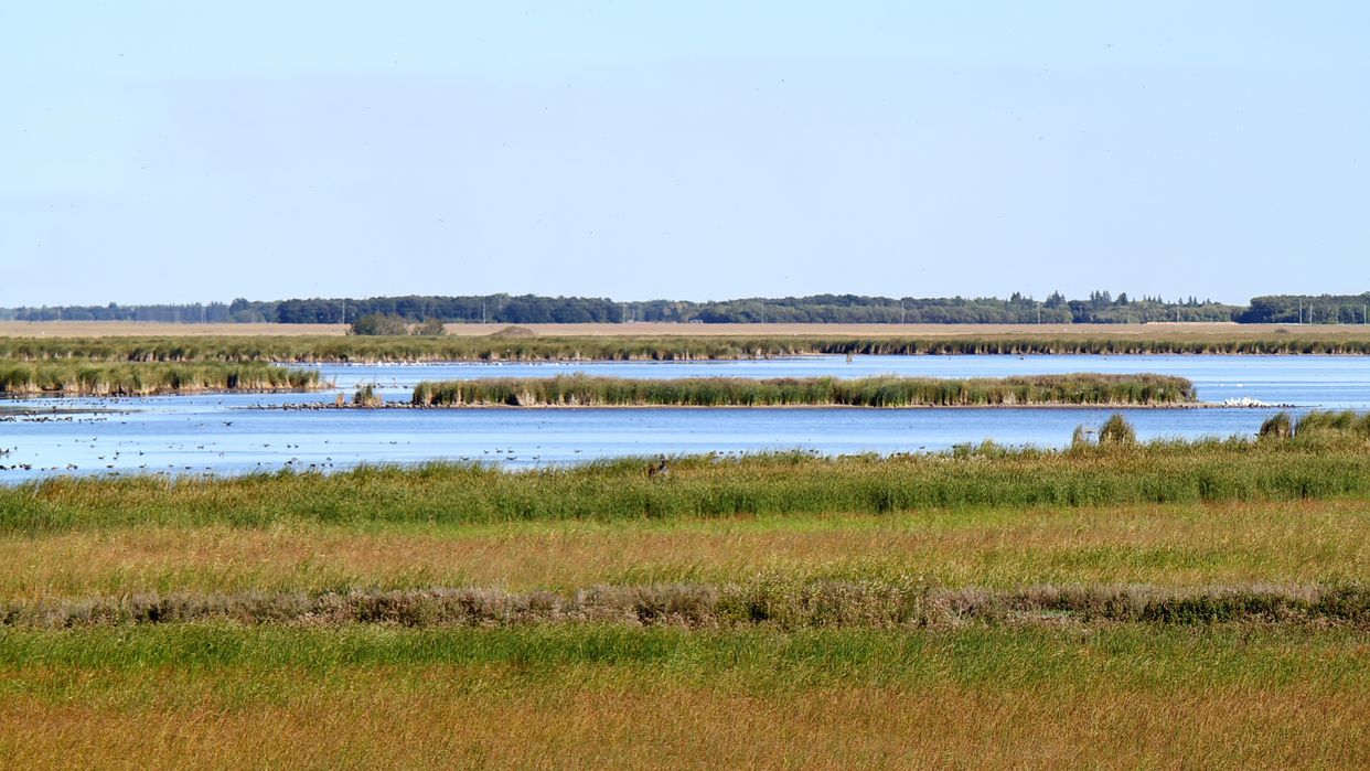 Oak Hammock Marsh Interpretive Centre