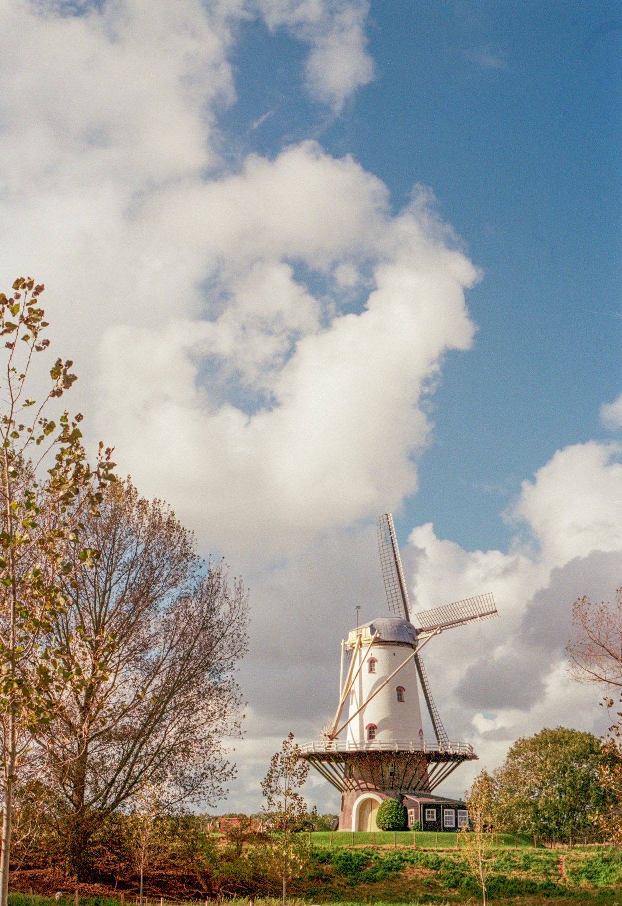 De Koe Windmill