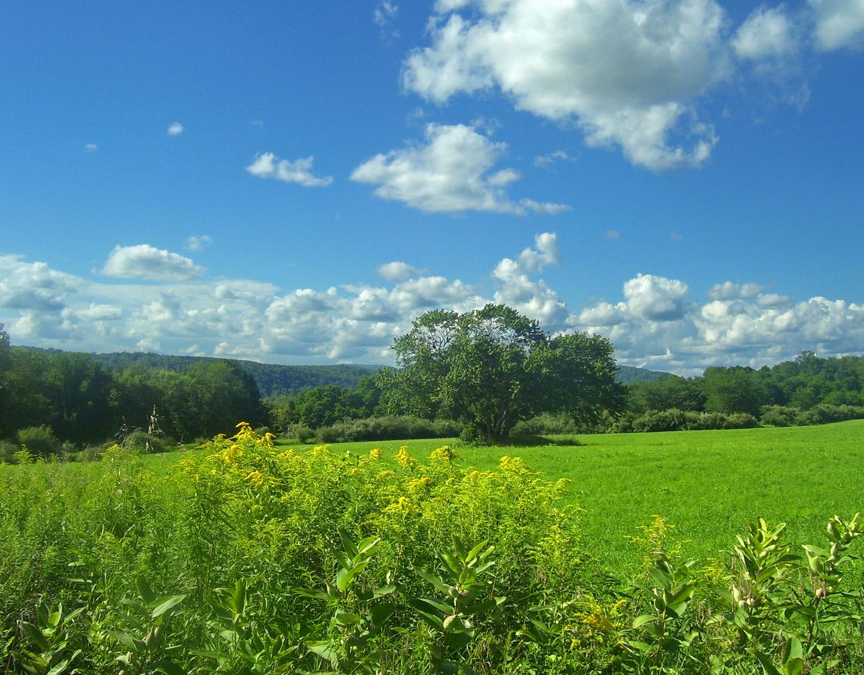 Harlem Valley