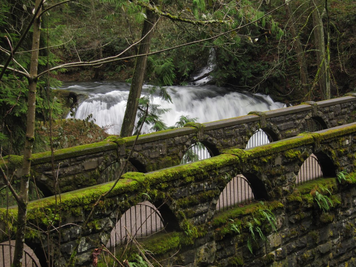 Whatcom Falls