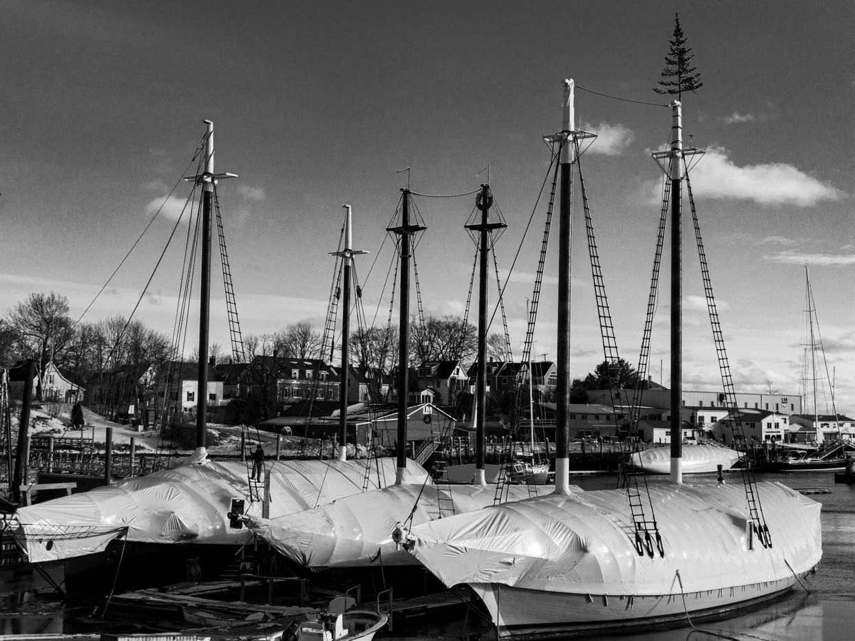 Camden Harbour