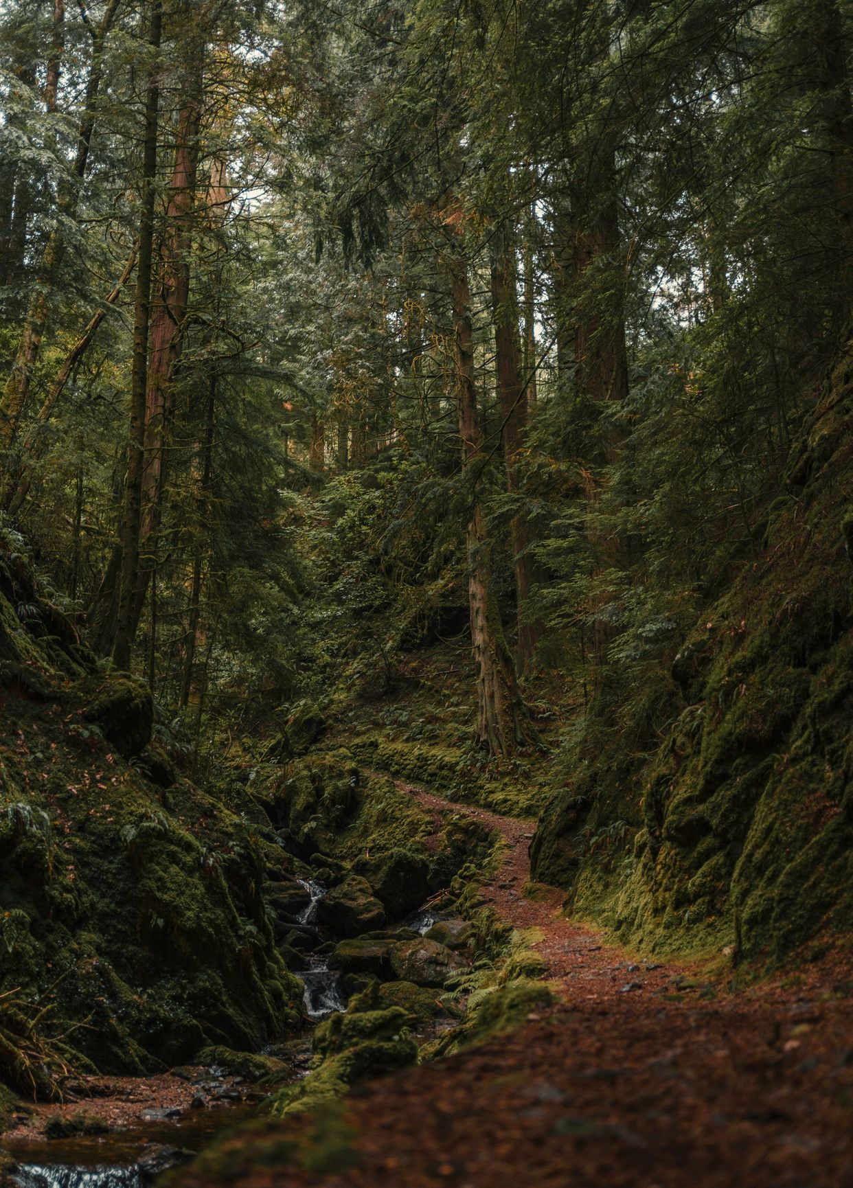 Puck's Glen