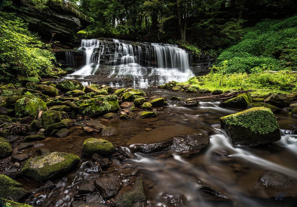 Leesburg Falls