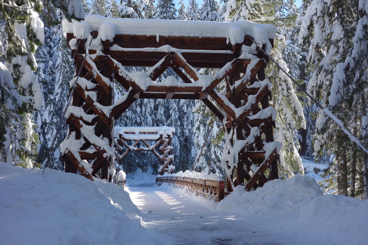 Nisqually River Suspension Bridge